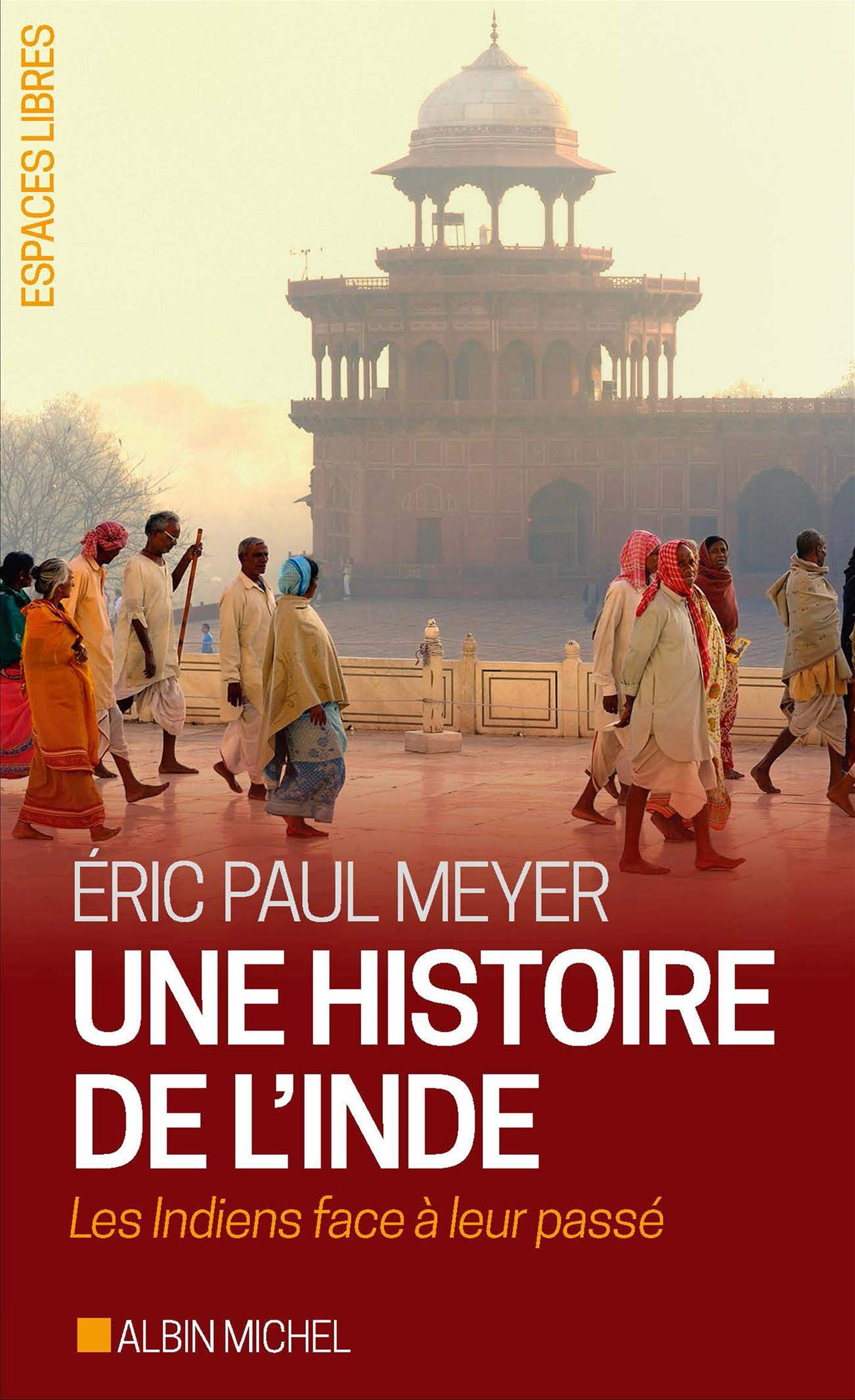 Une histoire de l'Inde: Les Indiens face à leur passé book