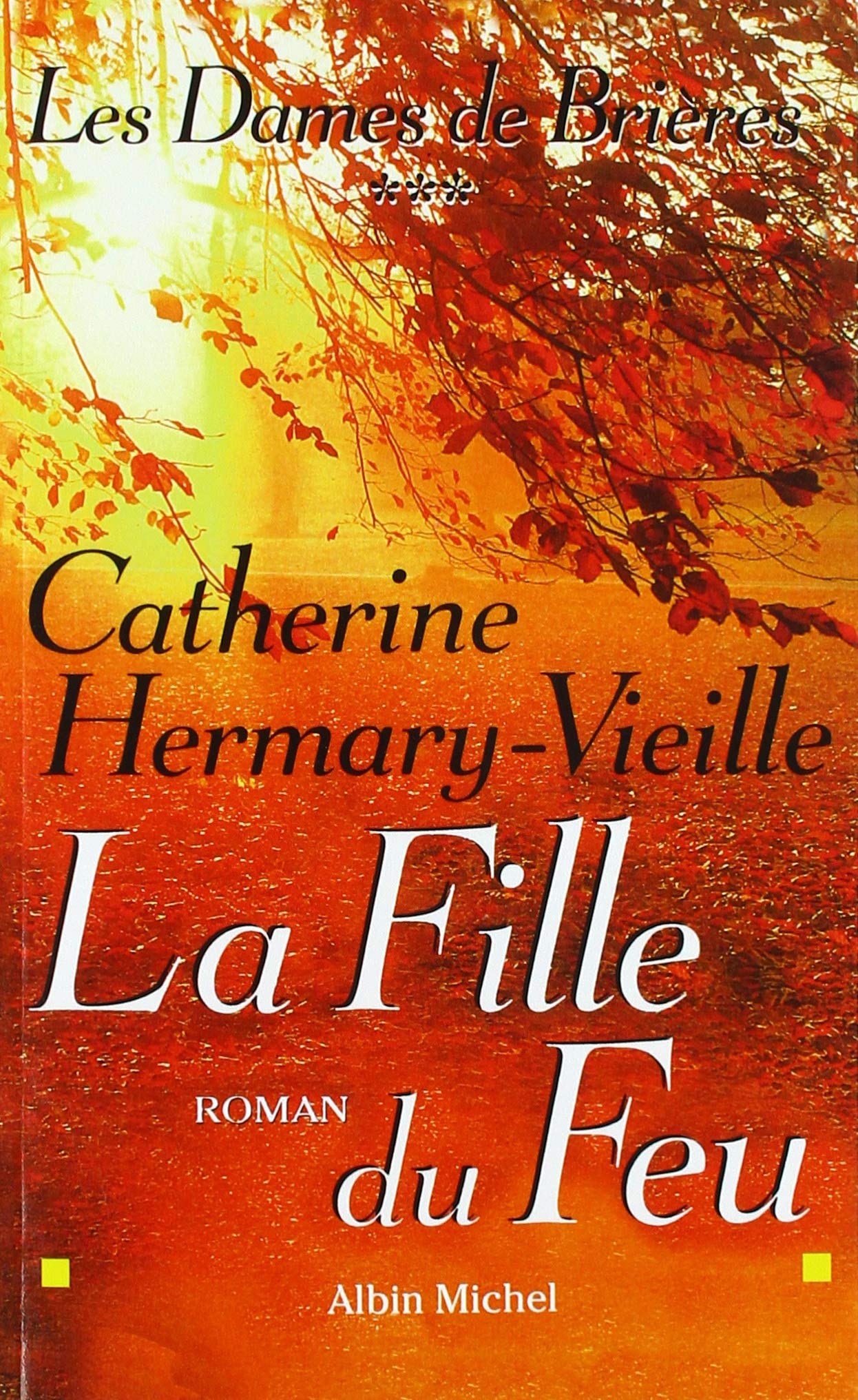 Les Dames de Brières - tome 3: La fille du feu book