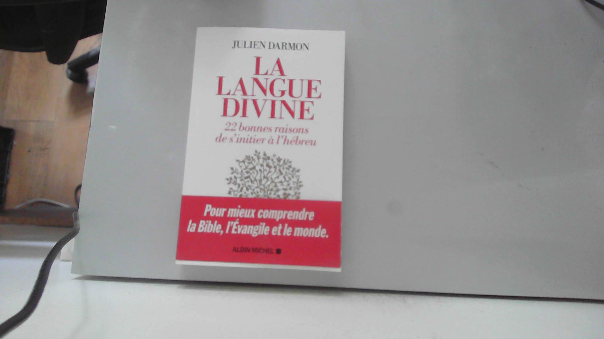 La Langue divine: 22 bonnes raisons de s'initier à l'hébreu book