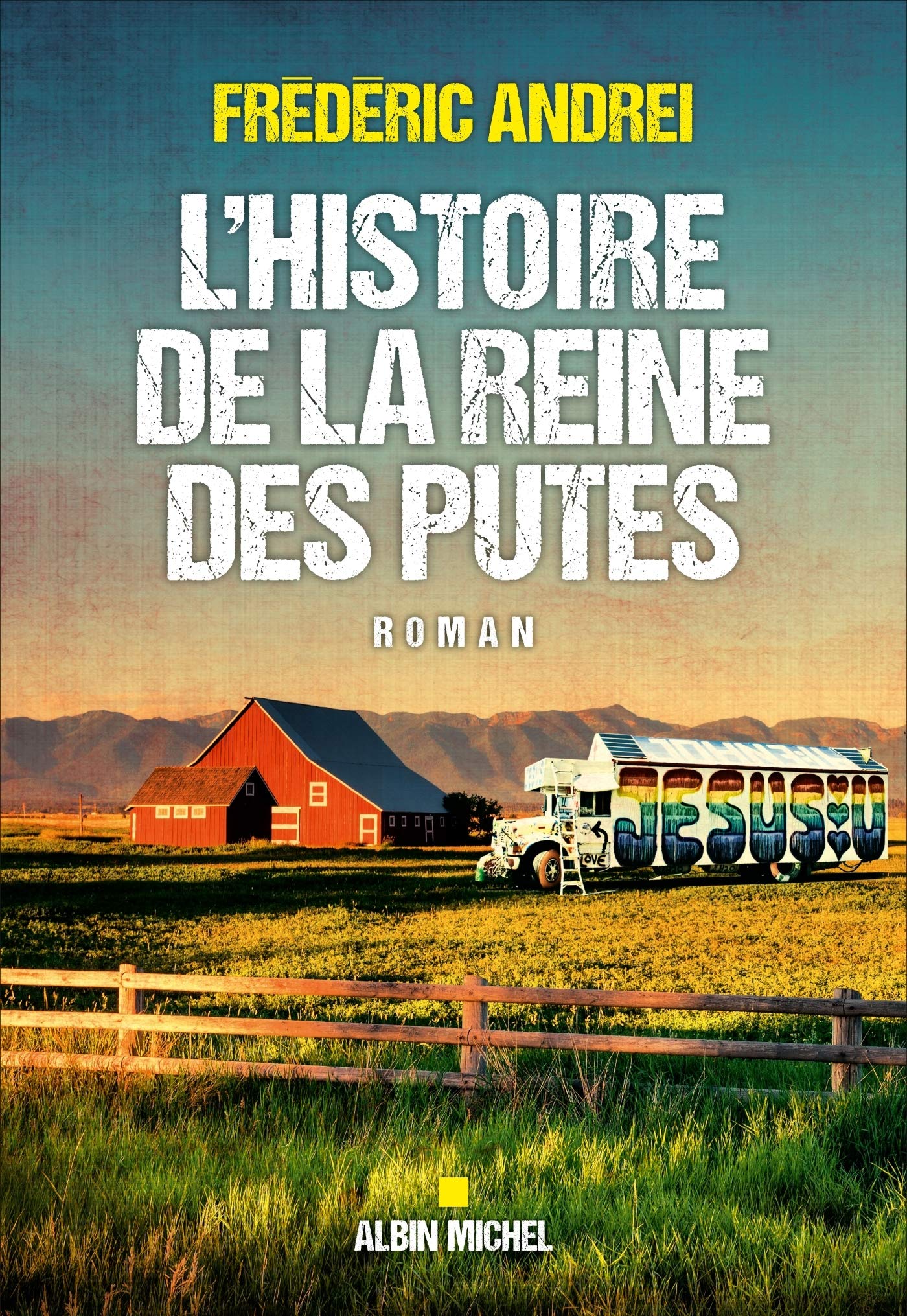 L'Histoire de la reine des putes book