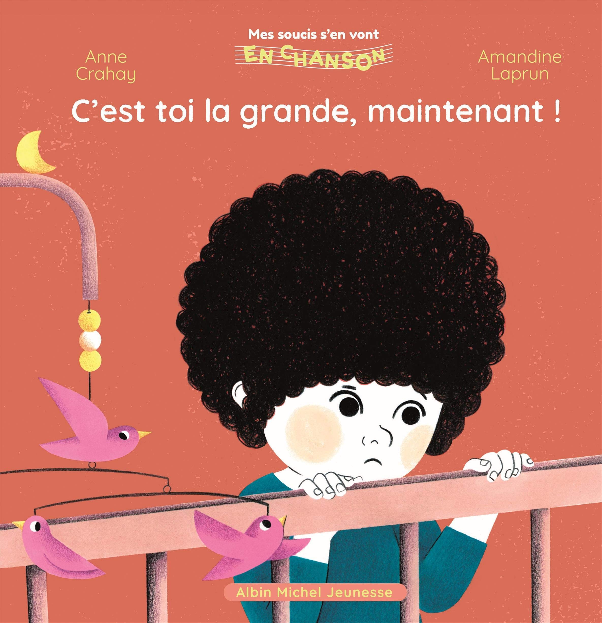 C'est toi la grande, maintenant ! book