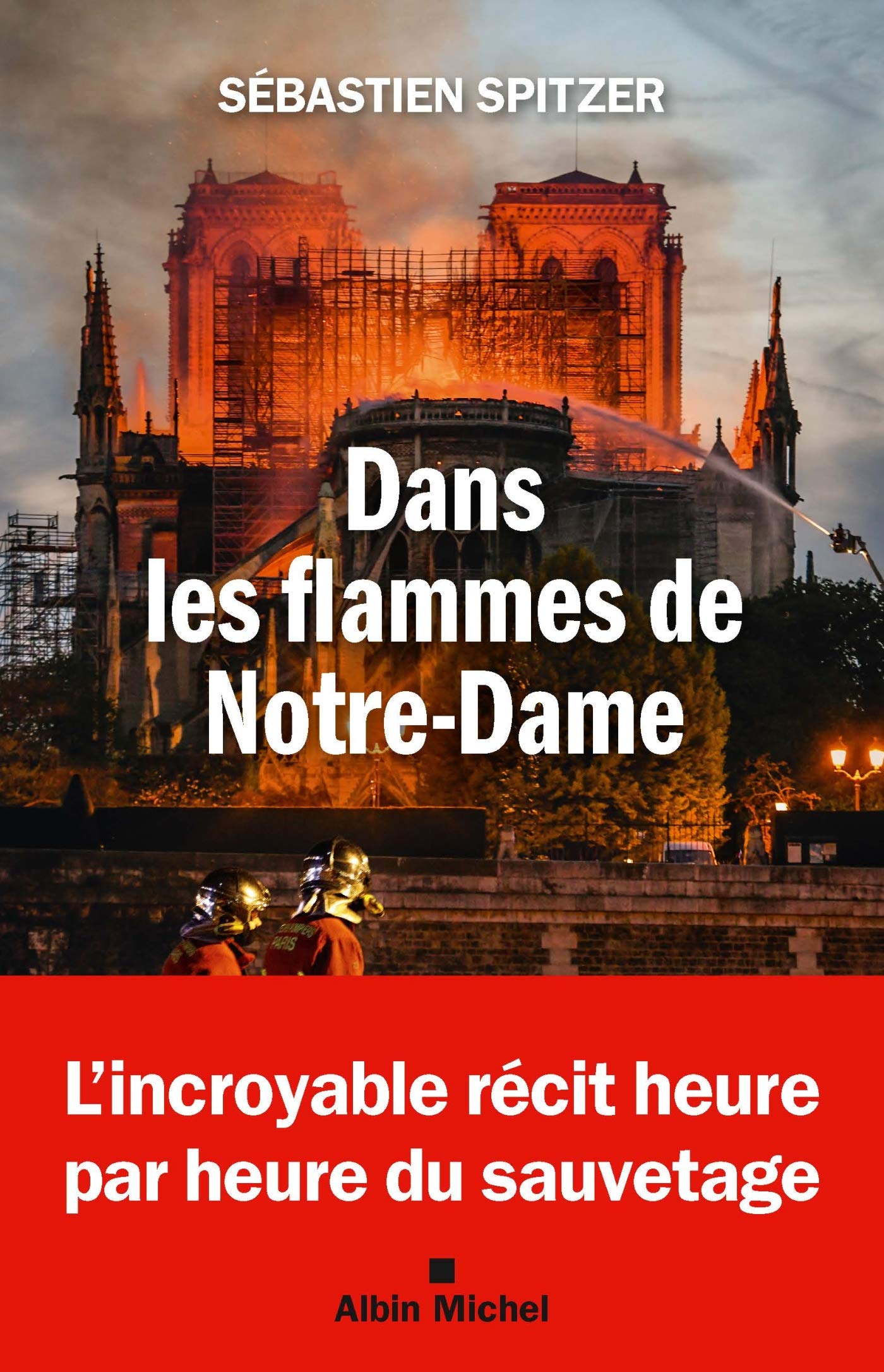 Dans les flammes de Notre-Dame book