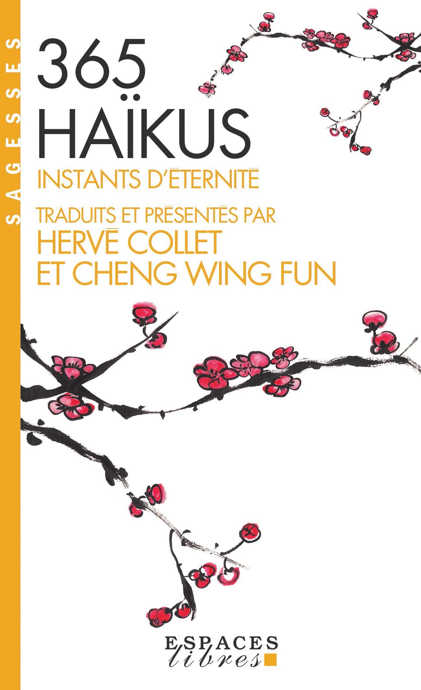 365 haïkus (Espaces Libres - Sagesses): Instants d'éternité Religion & Esotericism
