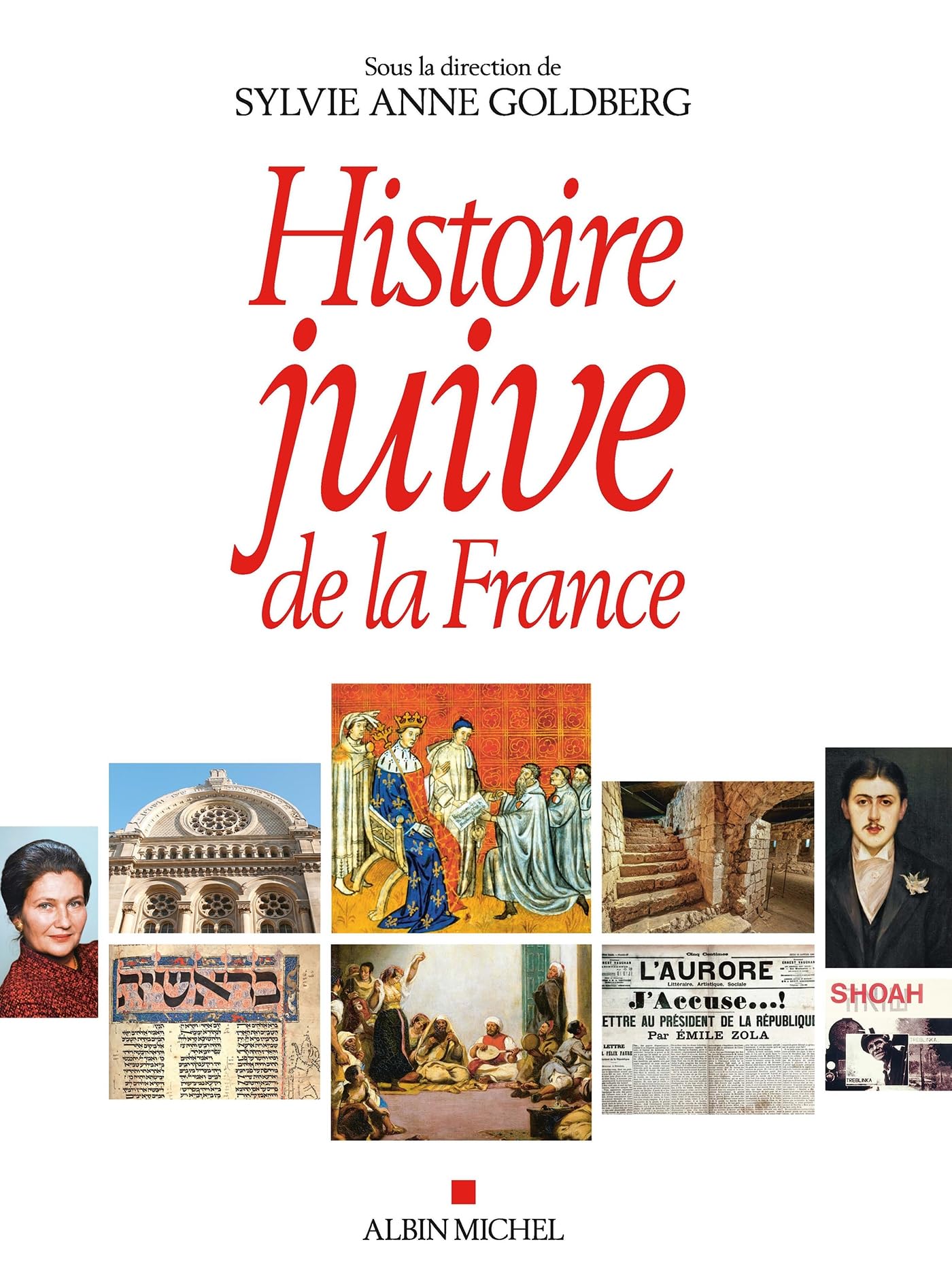 Histoire juive de la France Politics & History