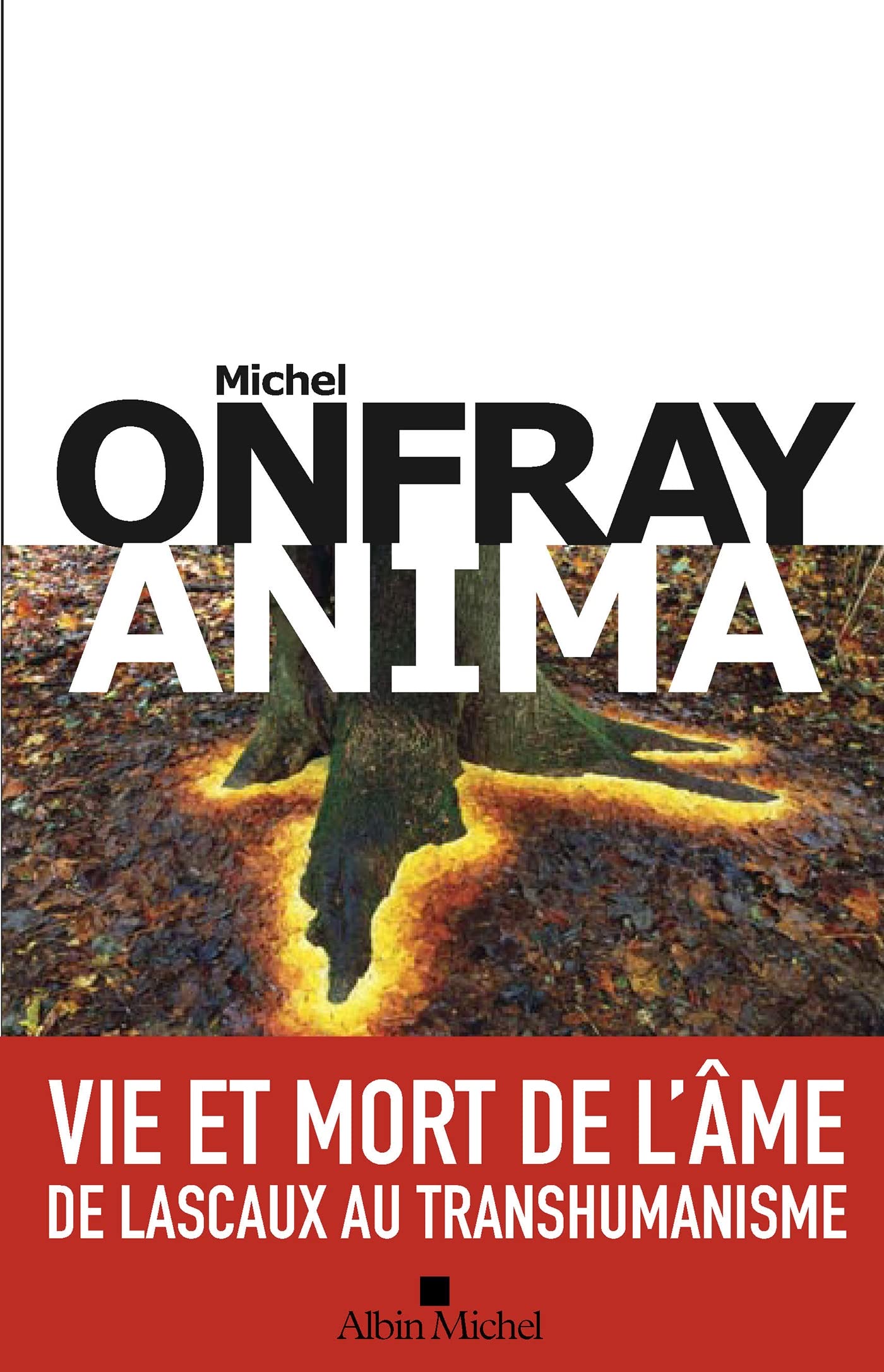 Anima: Vie et mort de l'âme - De Lascaux au transhumanisme Philosophy