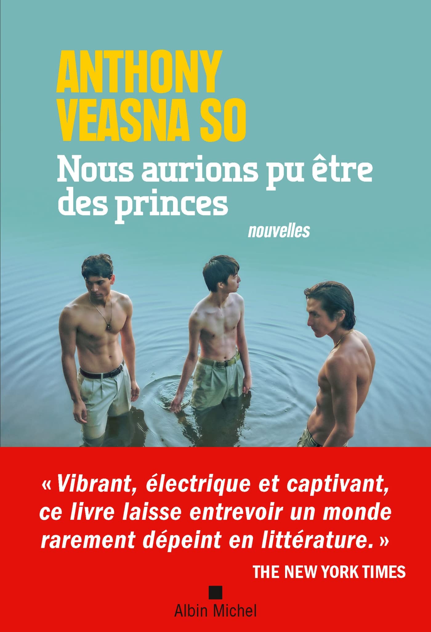 Nous aurions pu être des princes Essays & Short Stories