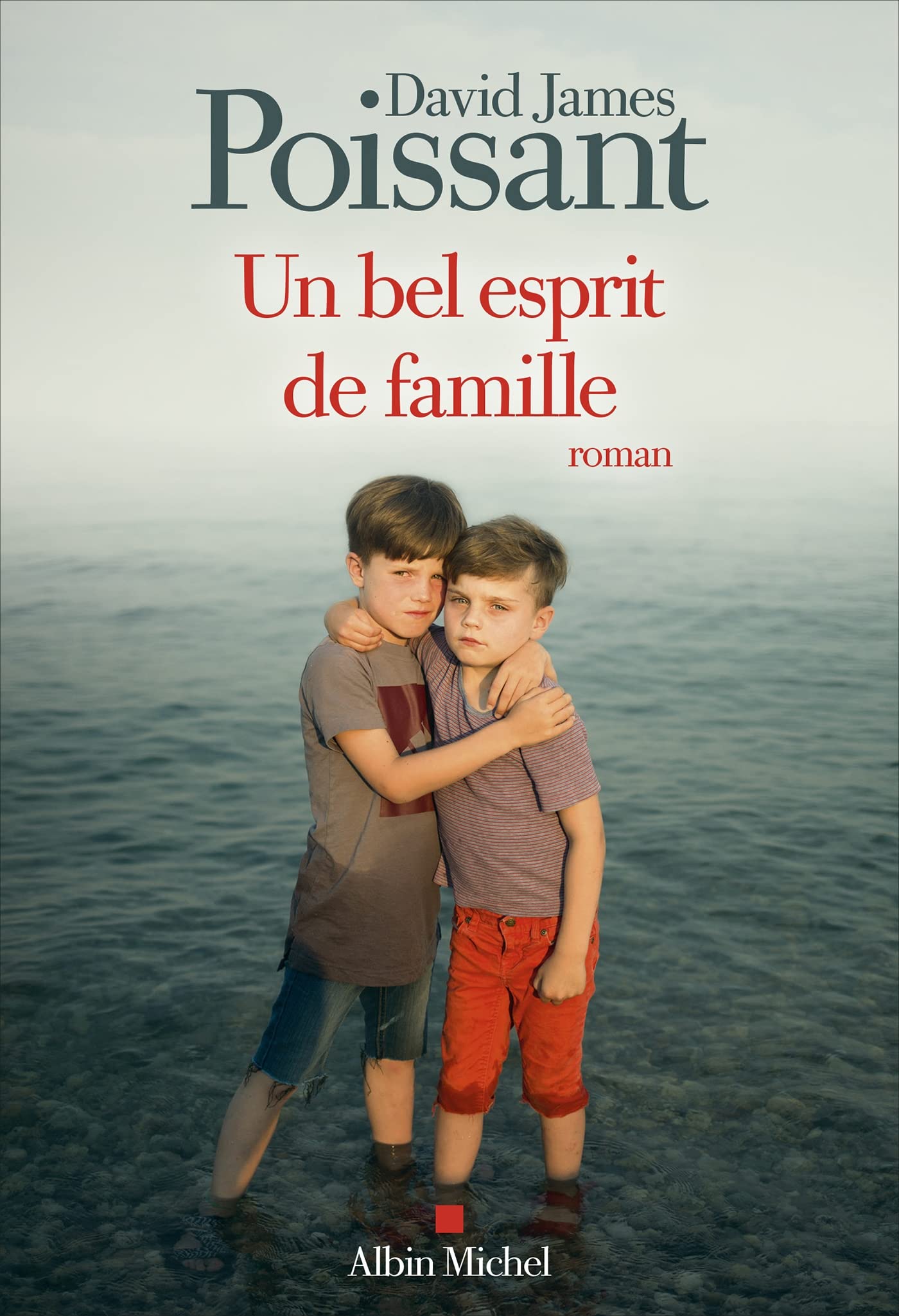 Un bel esprit de famille Contemporary literature