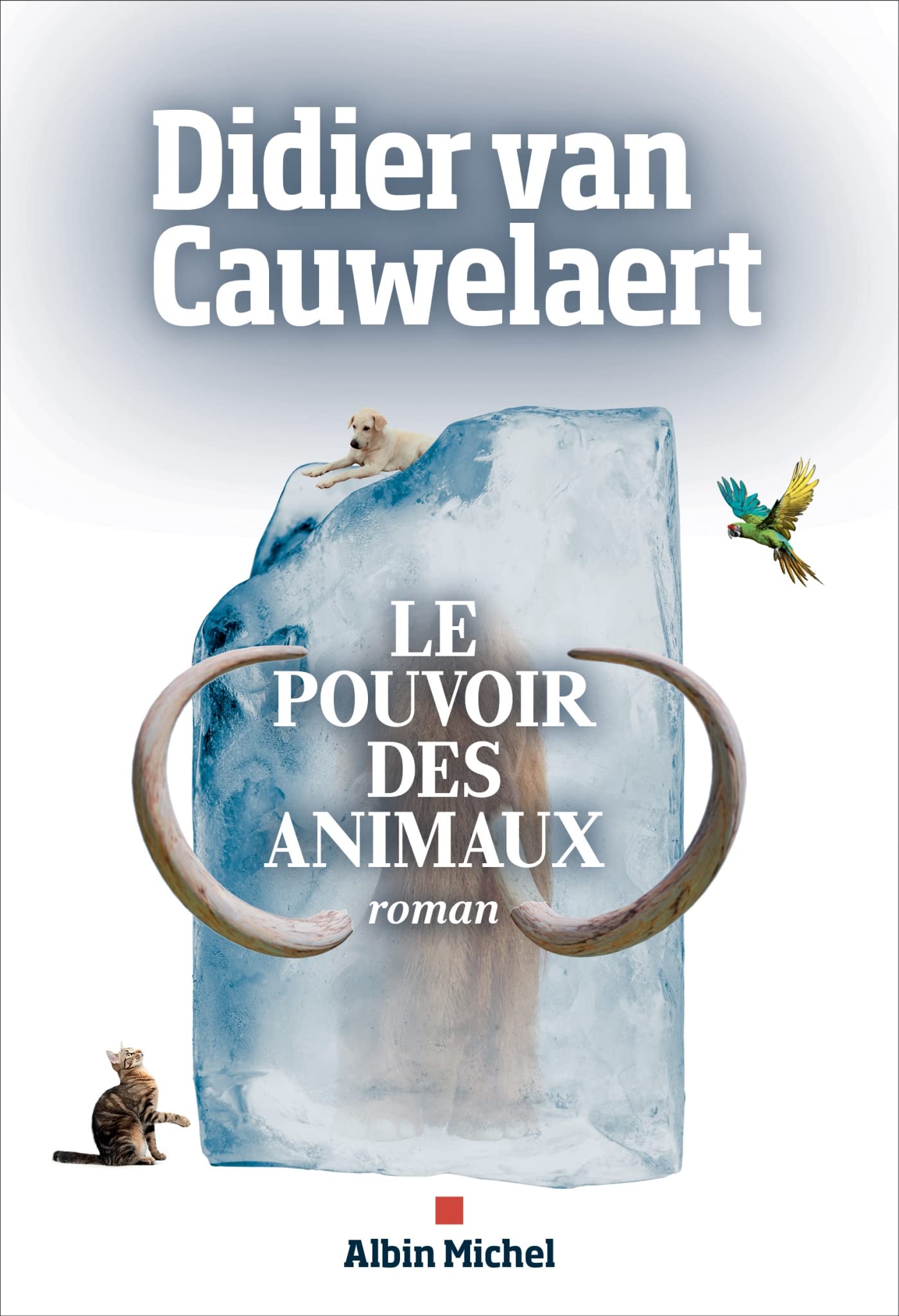 Le Pouvoir des animaux Contemporary literature