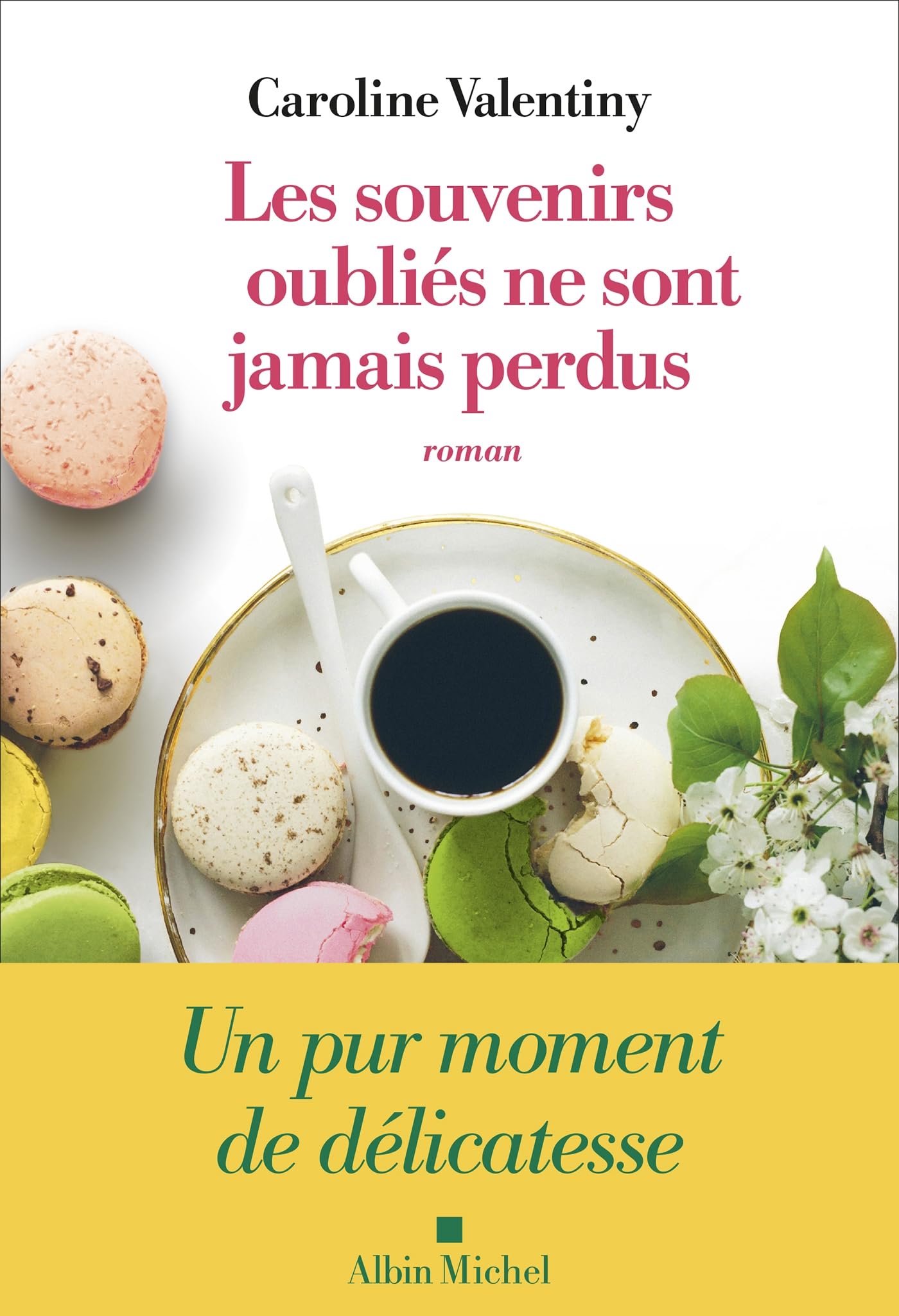 Les Souvenirs oubliés ne sont jamais perdus book