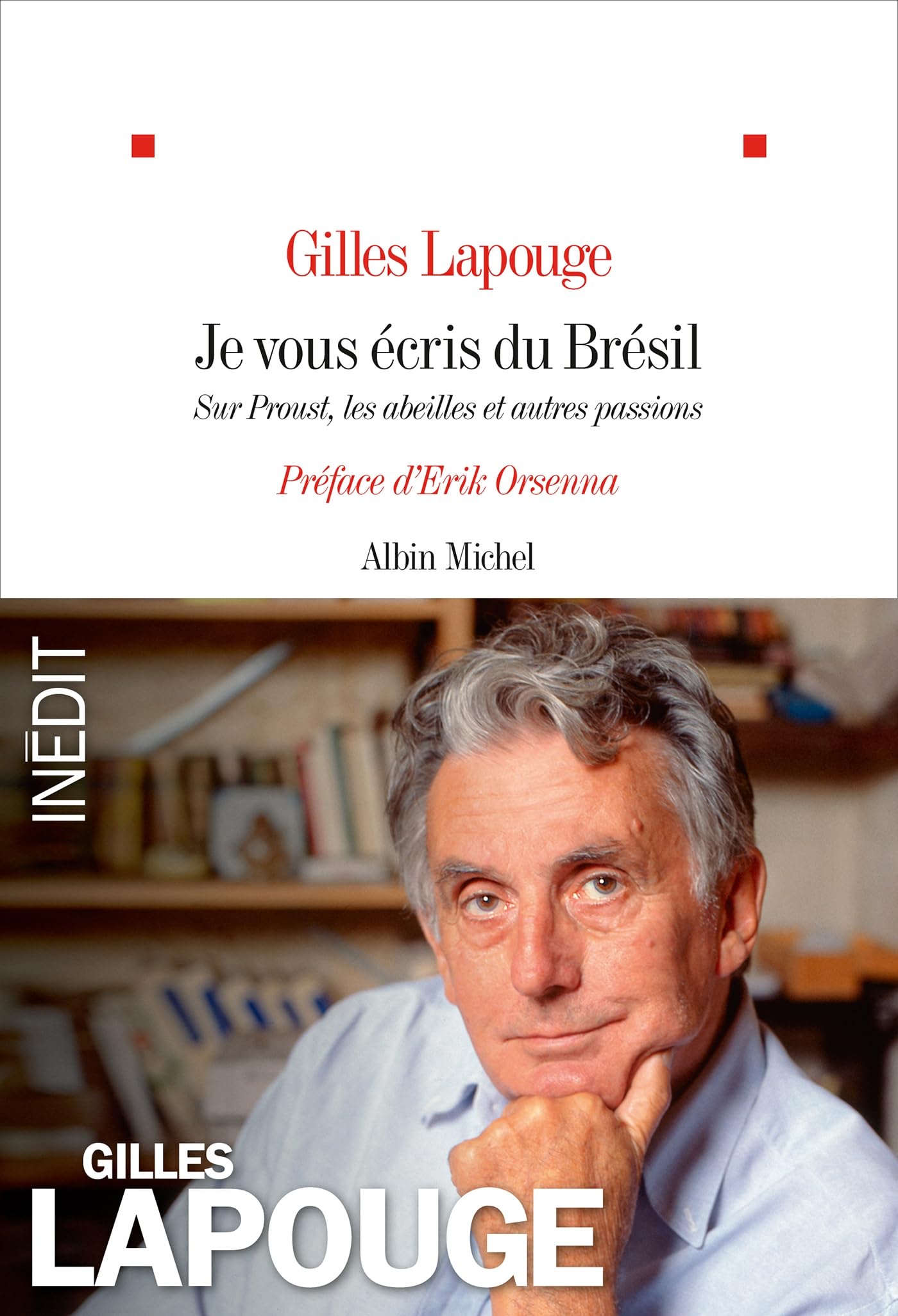 Je vous écris du Brésil: Sur Proust, les abeilles et autres passions Essays & Short Stories