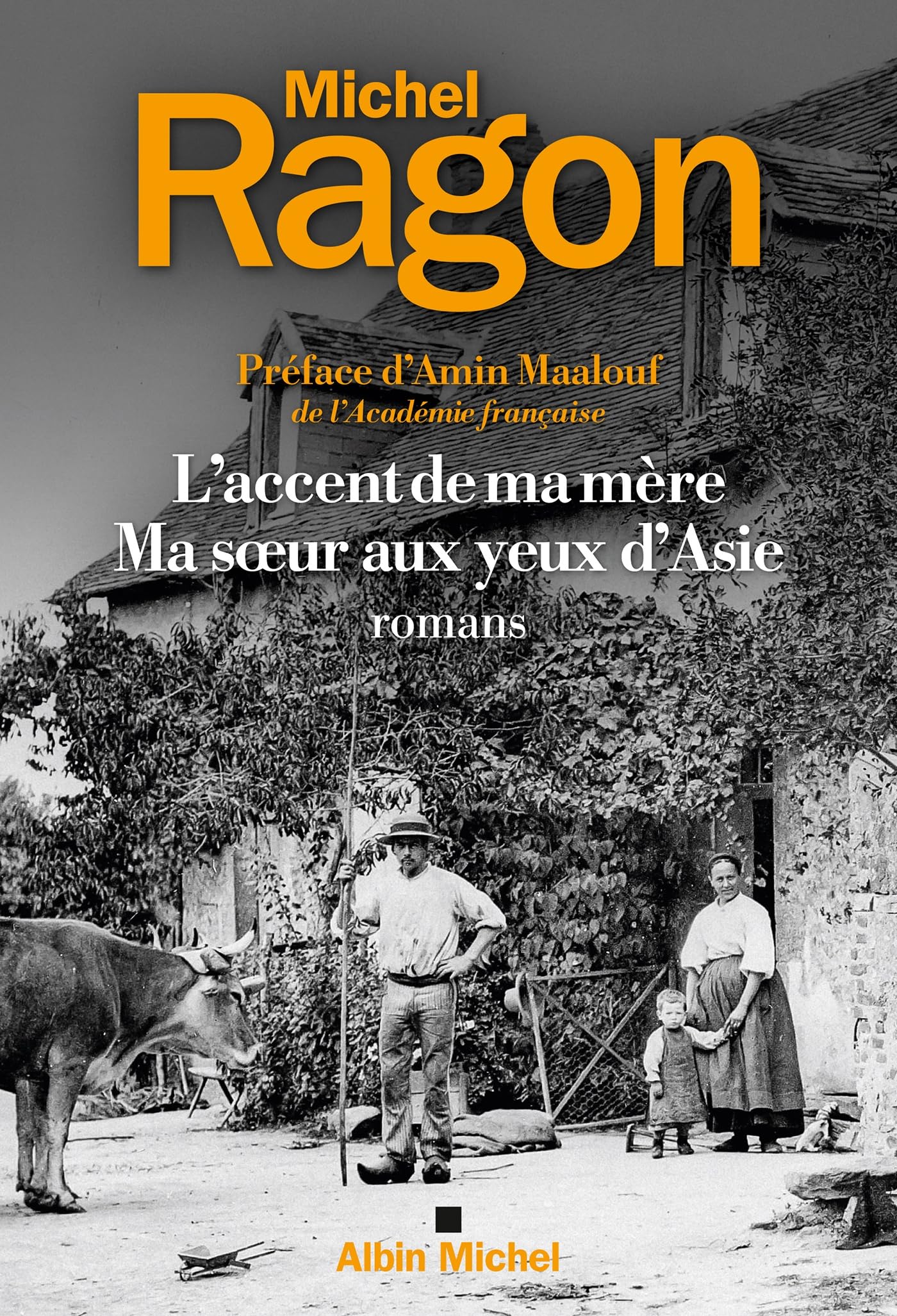 L'Accent de ma mère (Edition 2024) - Suivi de Ma soeur aux yeux d'Asie Contemporary literature