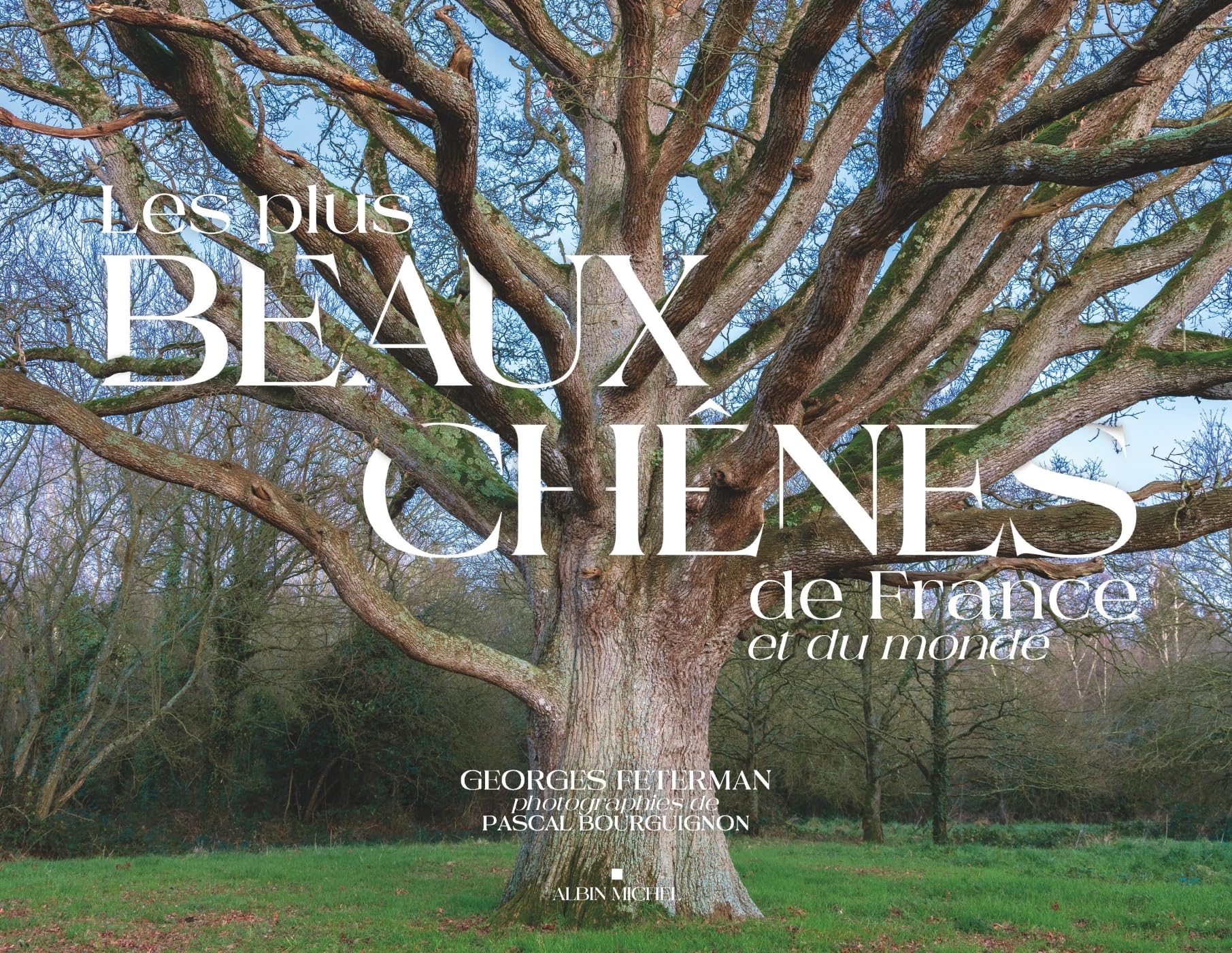 Les Plus Beaux Chênes de France et du monde book