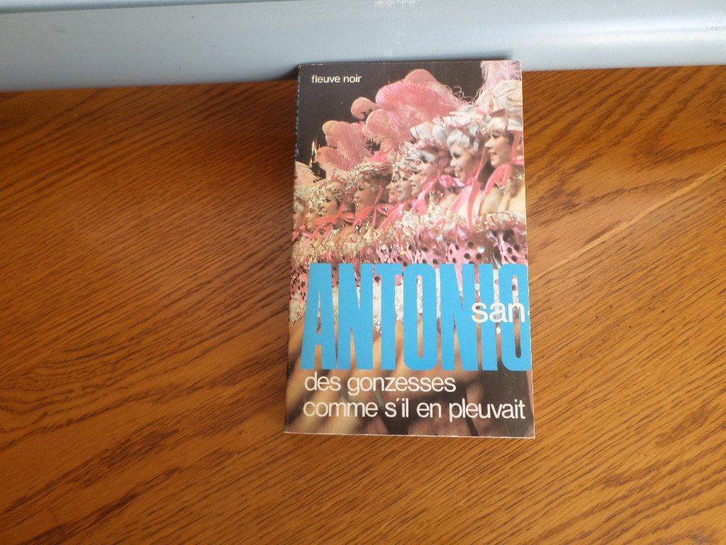 Des gonzesses comme s'il en pleuvait book