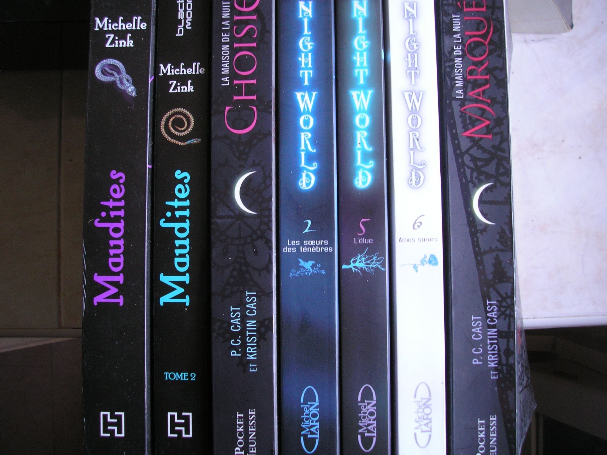 lot 13 livres : tentation - la maison de la nuit T1 marquée + T2 trahie + T3 choisie + T4 rebelle - journal d'un vampire tomes 1 et 2 - night world T2les soeurs des tenebres + T5 l'élue + T6 ames soeurs + T7 la chasseresse - maudites tomes 1 et 2 book