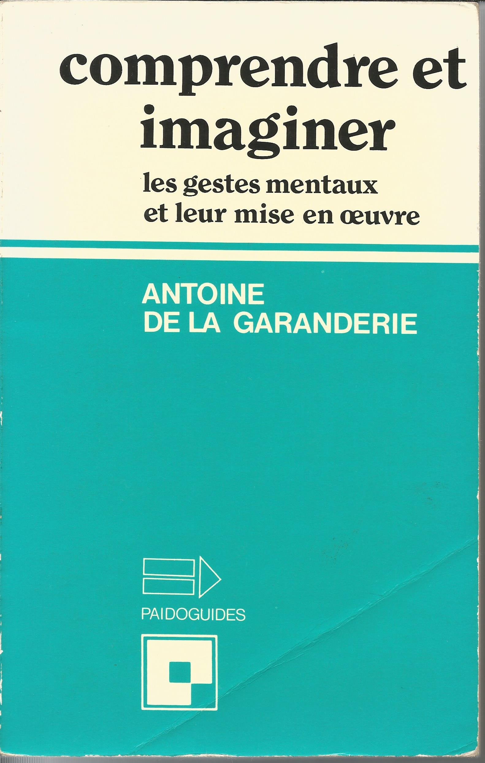 Comprendre et imaginer : les gestes mentaux et leur mise en oeuvre Books