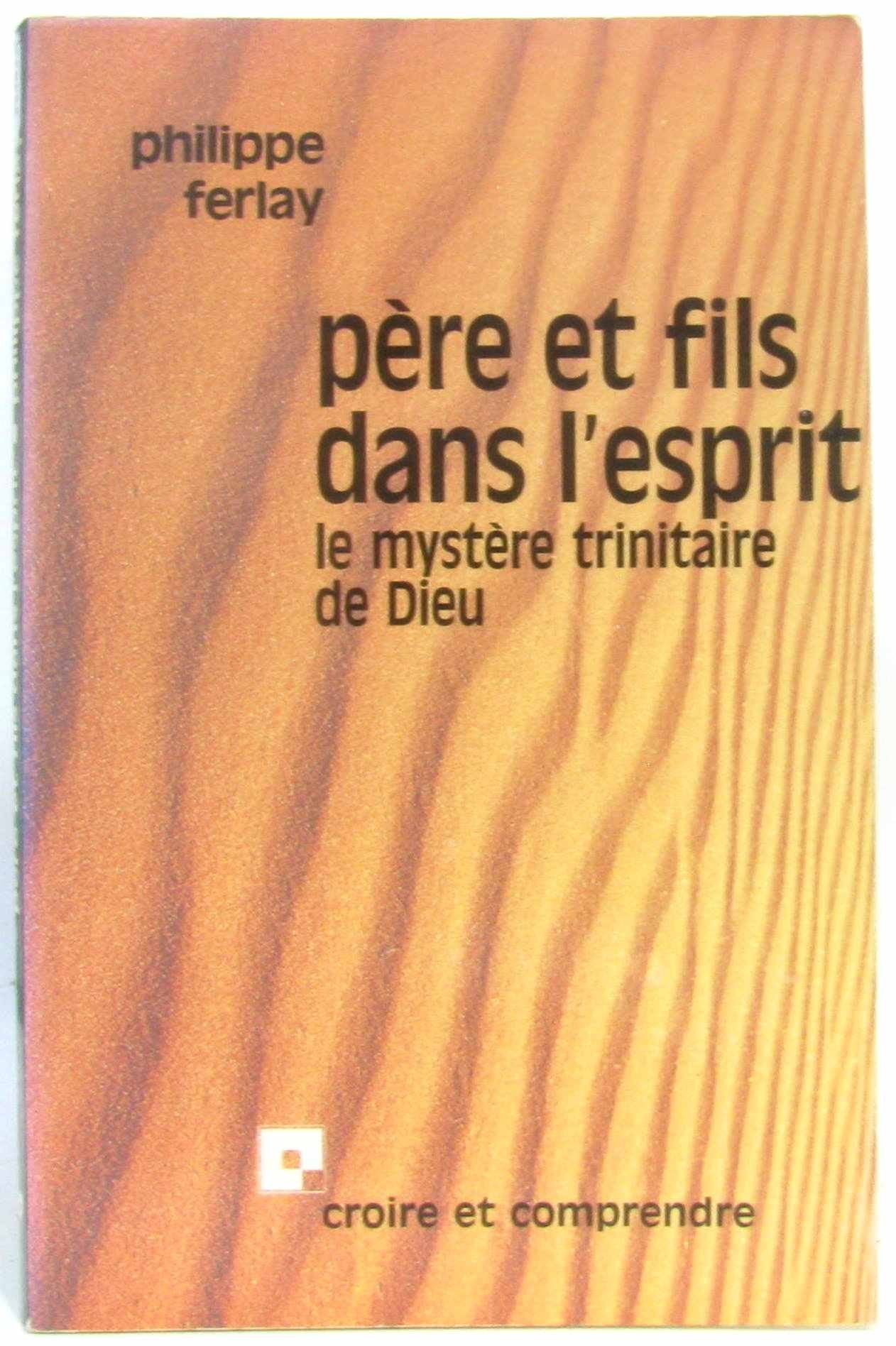 Père et fils dans l'esprit : le mystère trinitaire de Dieu book
