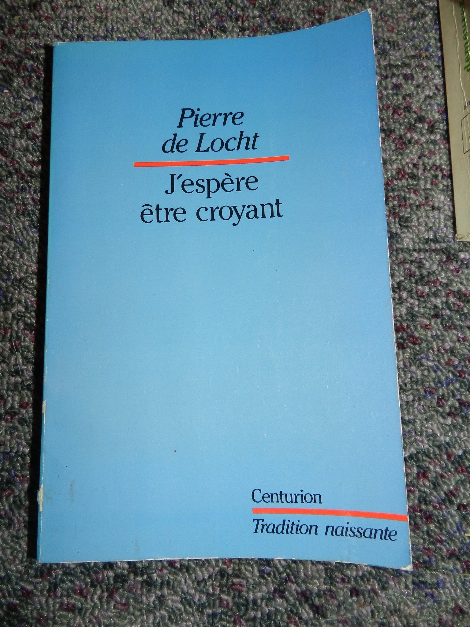 J'espère être croyant : itinéraire d'un chrétien book