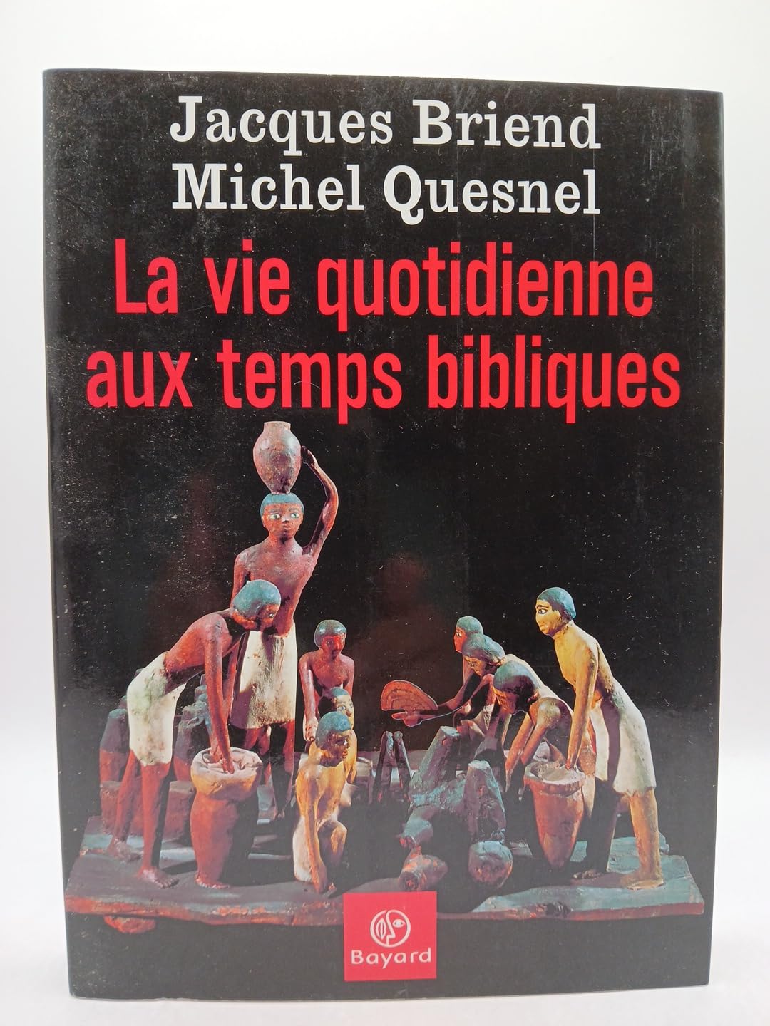 La vie quotidienne aux temps bibliques Books