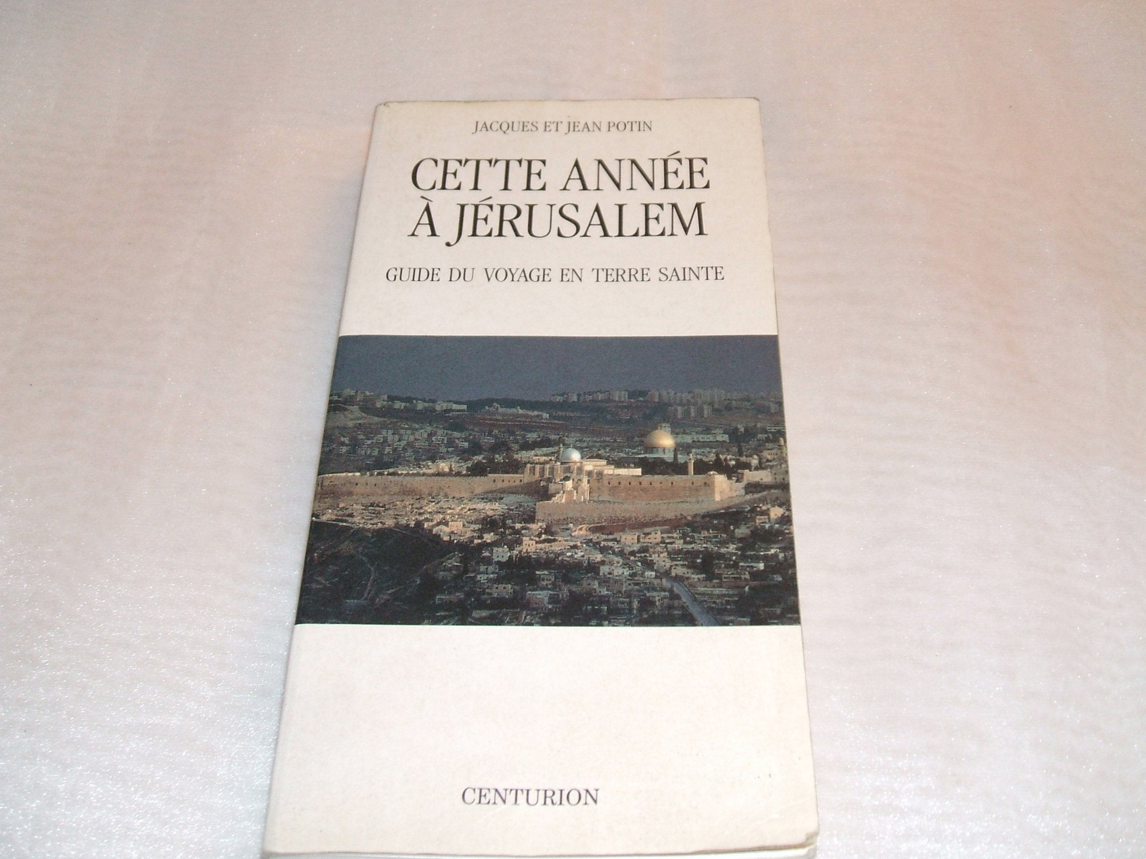 Cette Annee A Jerusalem. Guide Du Voyage En Terre Sainte Books