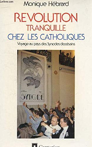 Révolution tranquille chez les catholiques ? : l'expérience des synodes diocésains en France Books