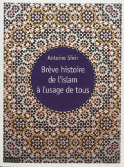 Brève histoire de l'islam à l'usage de tous book