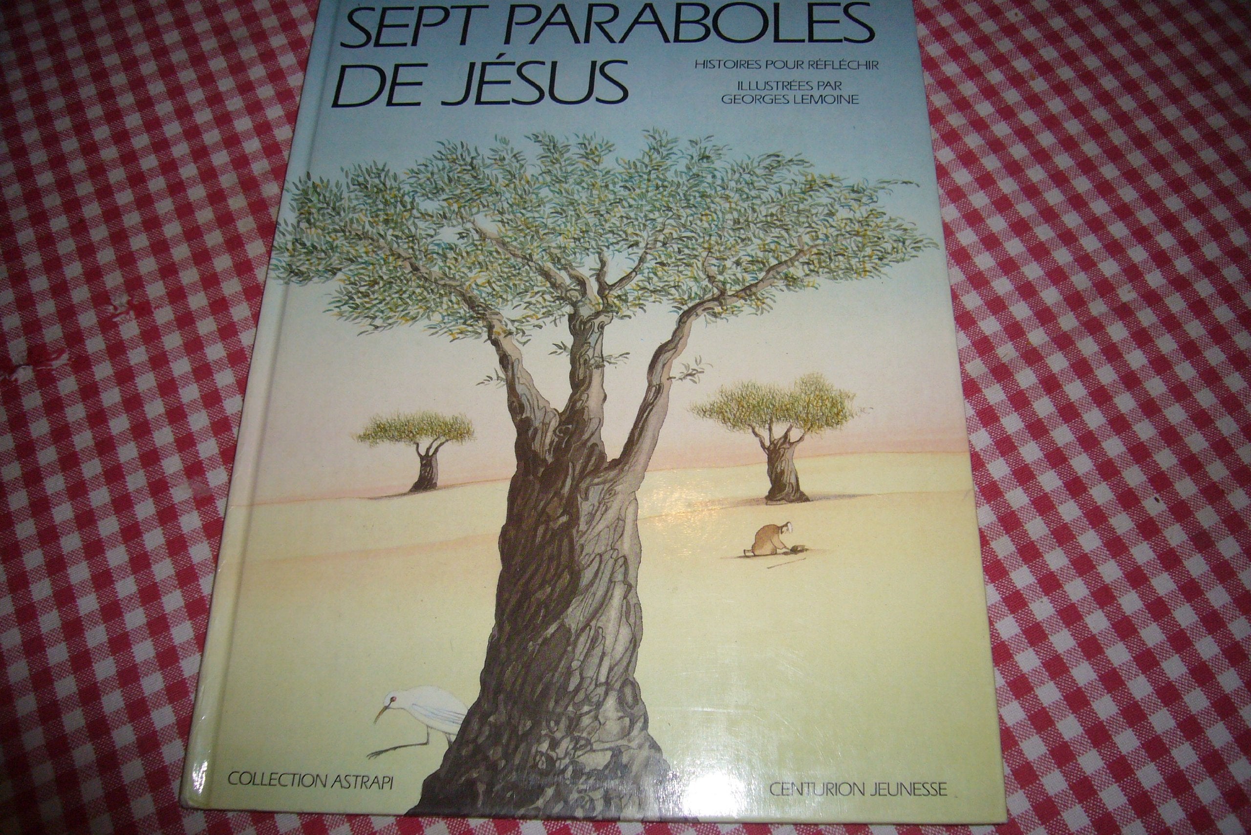 Sept paraboles de Jésus : histoires pour réfléchir book