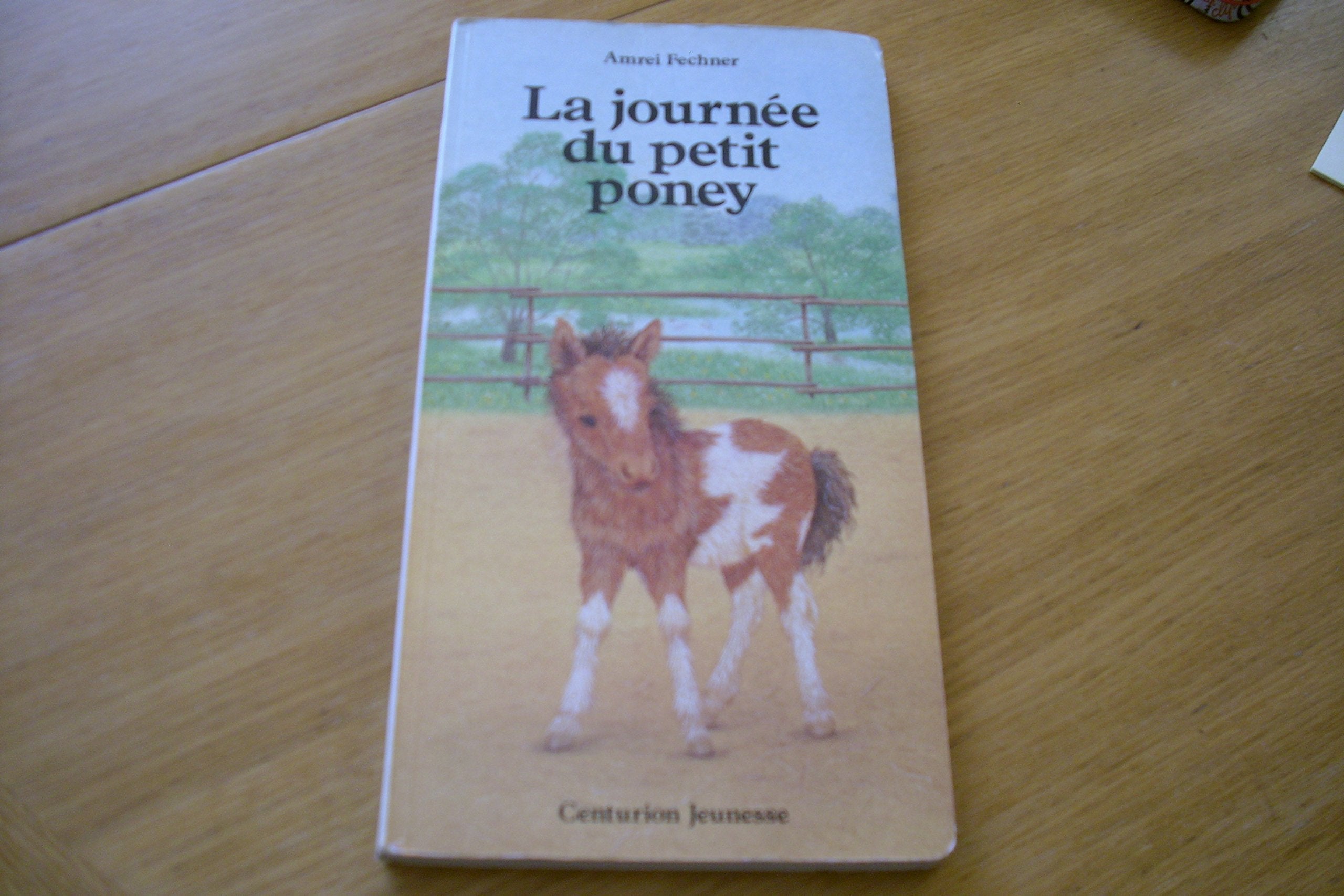 La Journée du petit poney book