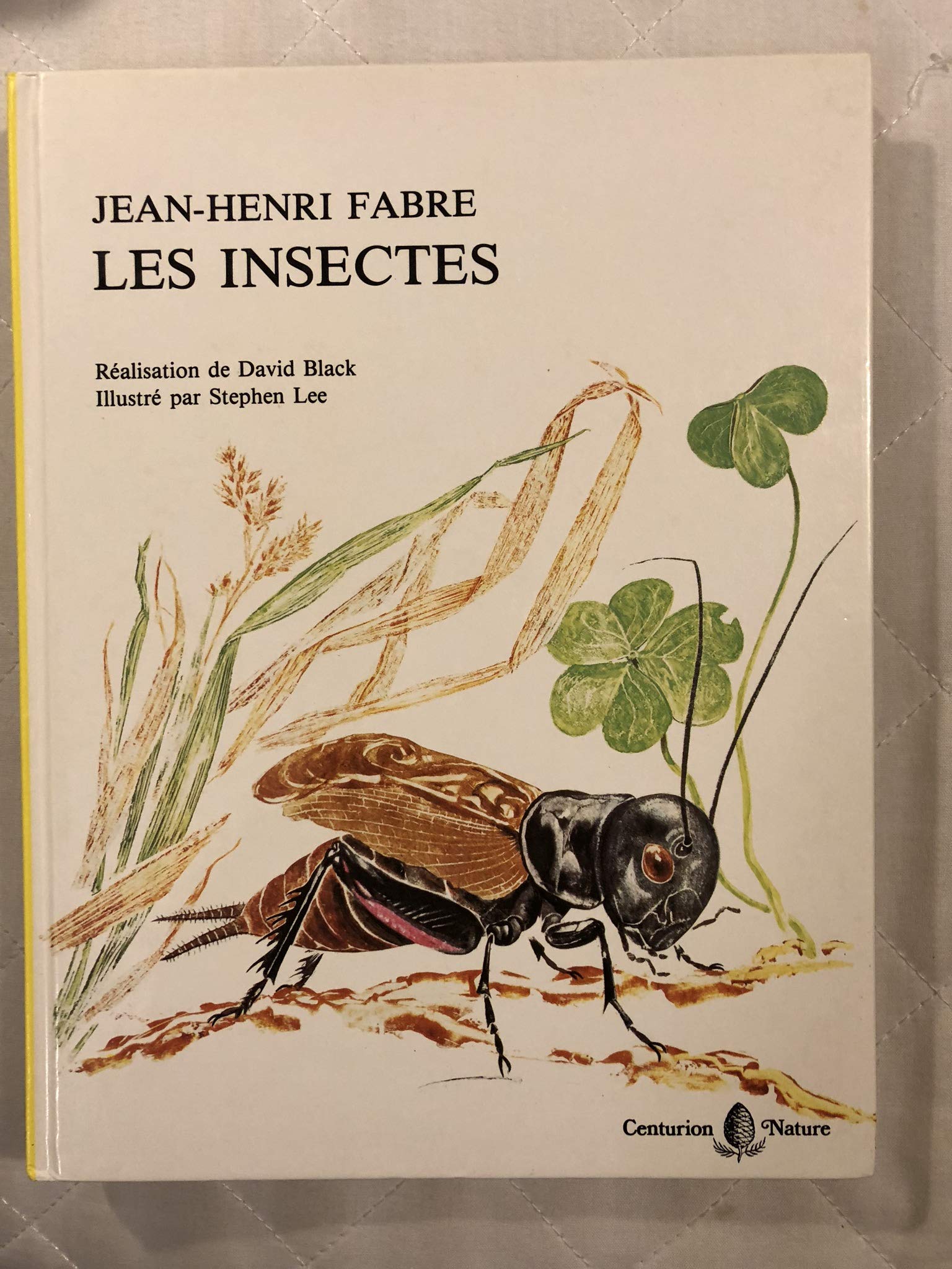 Les insectes Books