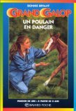 Un poulain en danger.: 2ème édition Leisure & Fun