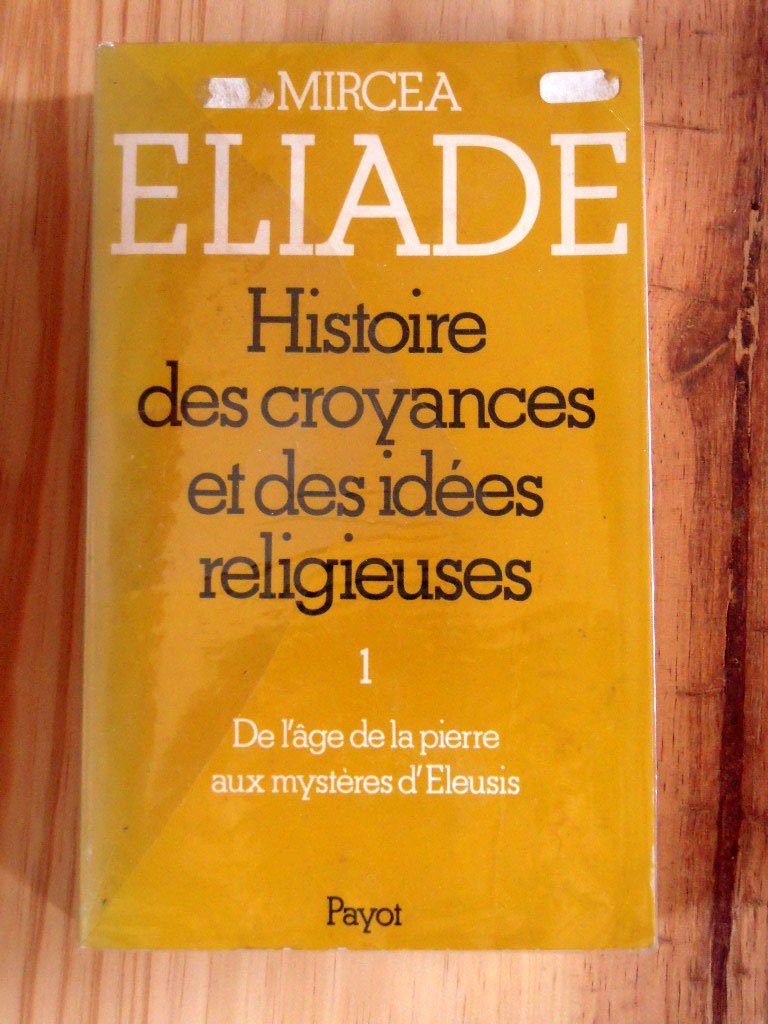 T1 HISTOIRE DES CROYANCES Politics & History books