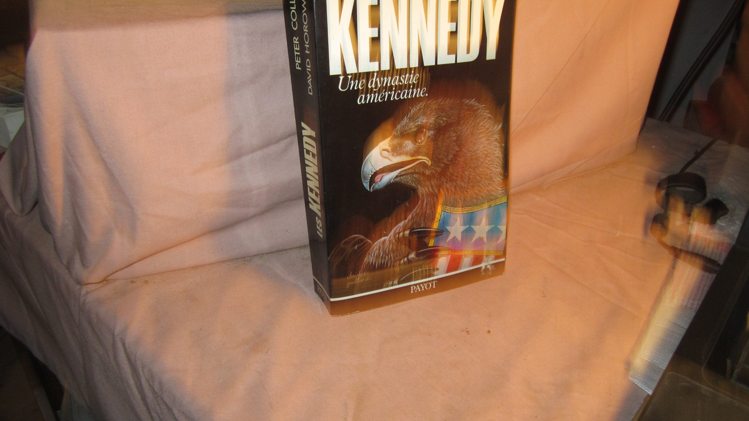 Les Kennedy : une dynastie américaine Books