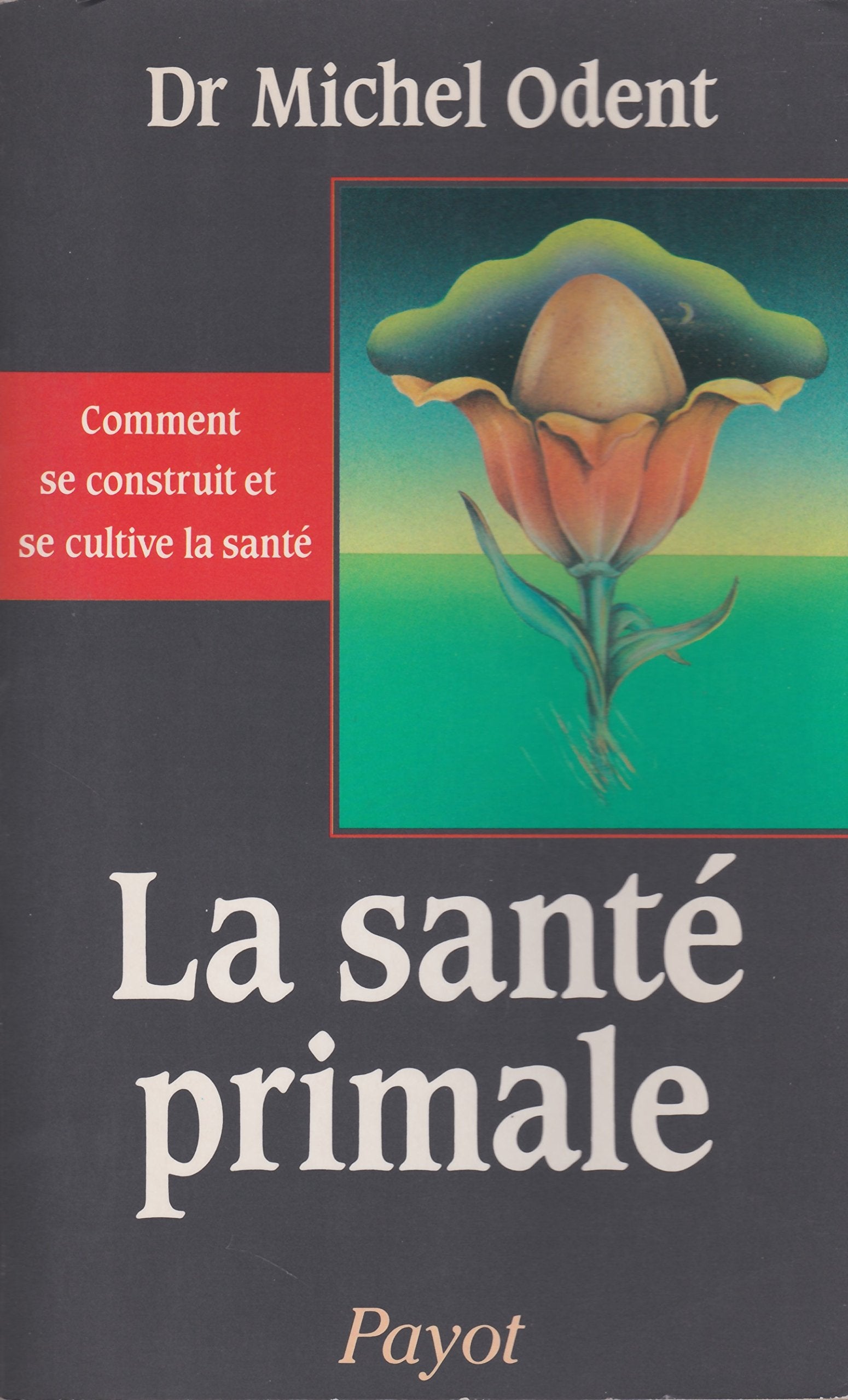 La Santé primale : comment se construit et se cultive la santé Contemporary literature
