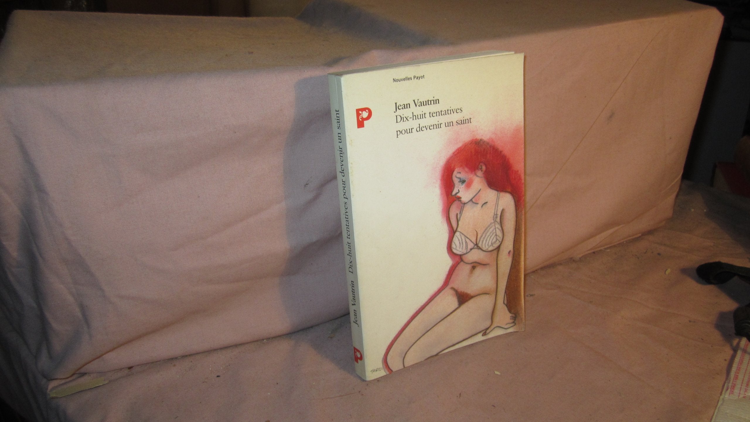 dix-huit tentatives pour devenir un saint book
