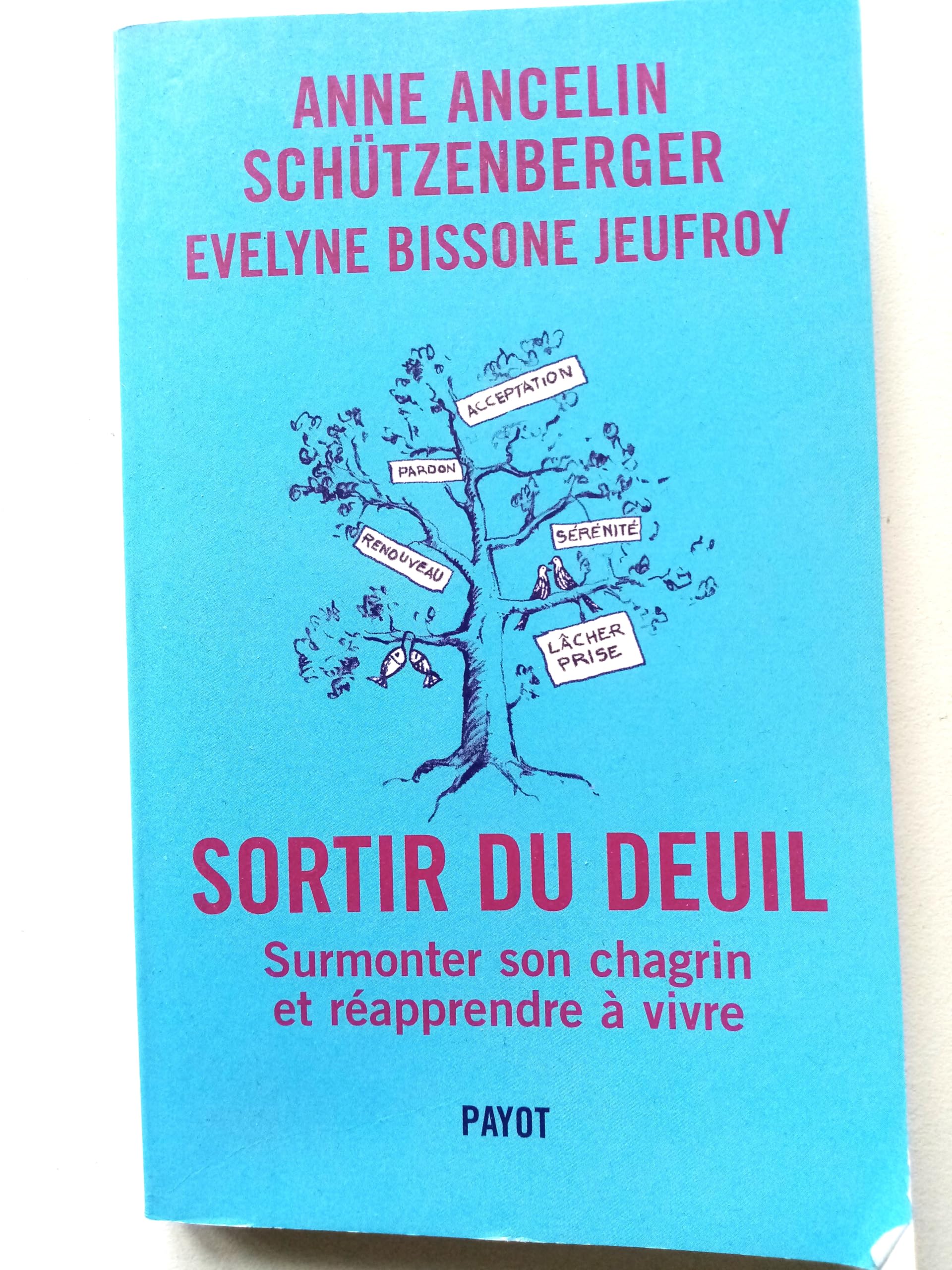 Sortir du deuil : Comment affronter son chagrin et surmonter la perte book
