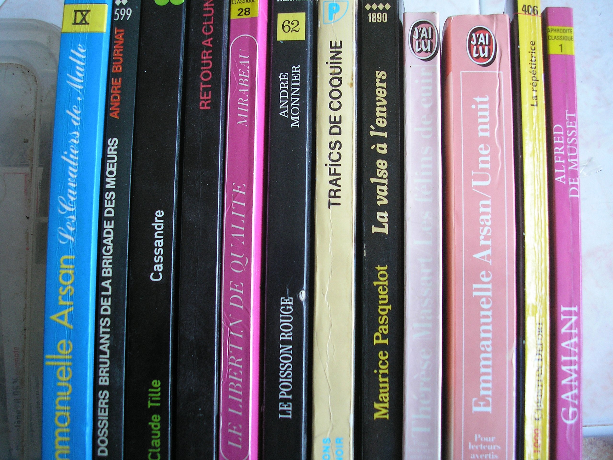 lot 12 livres littérature érotique : la répétitrice - gamiani - les félins de cuir - une nuit sainte louve - le poisson rouge - trafics de coquine - la valse a l'envers - retour a cluny - le libertin de qualité - cassandre - dossiers brulants de la bri... book