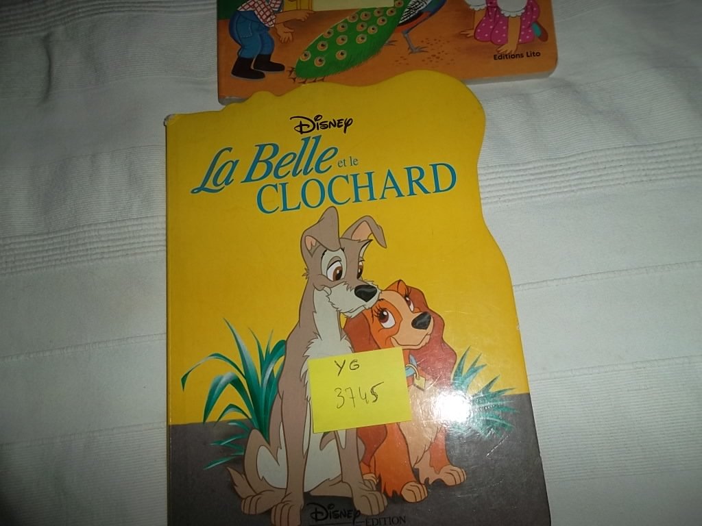 La Belle et le clochard book