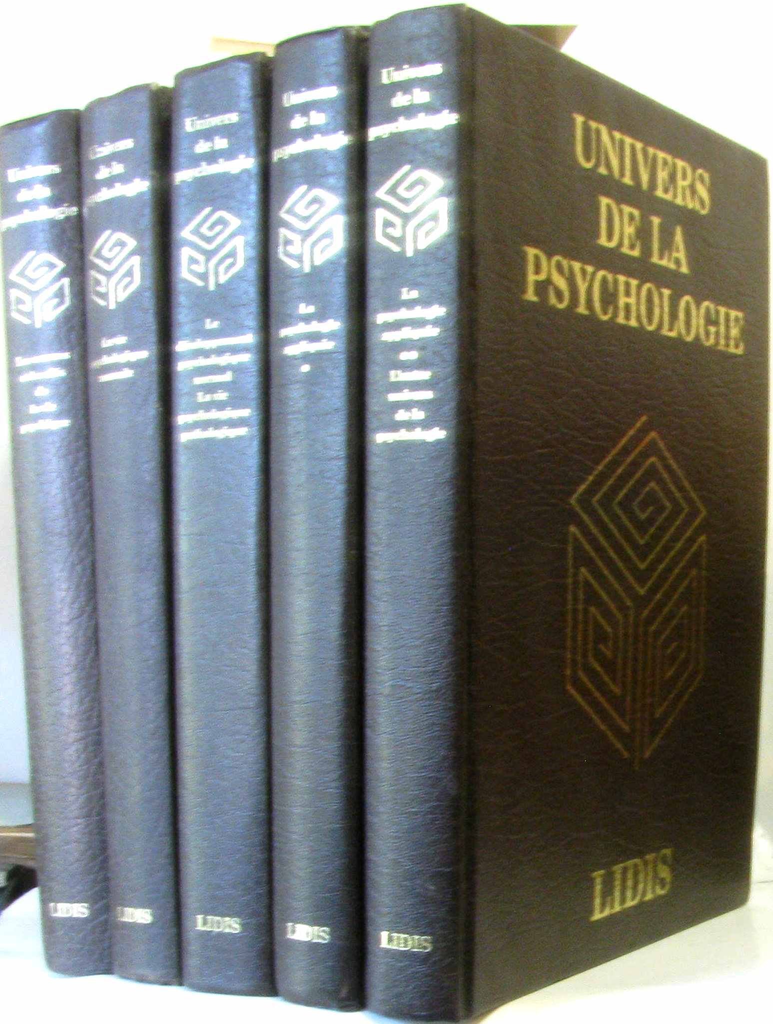 Terre énigmatique (Les Mystères de l'univers) book
