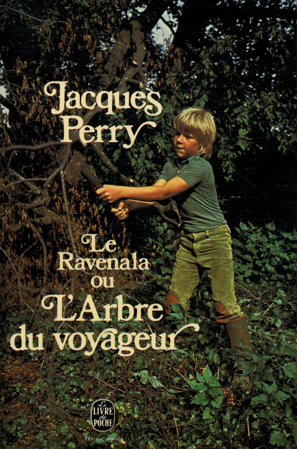 Product Image: LE RAVENALA OU L'ARBRE DU VOYAGEUR