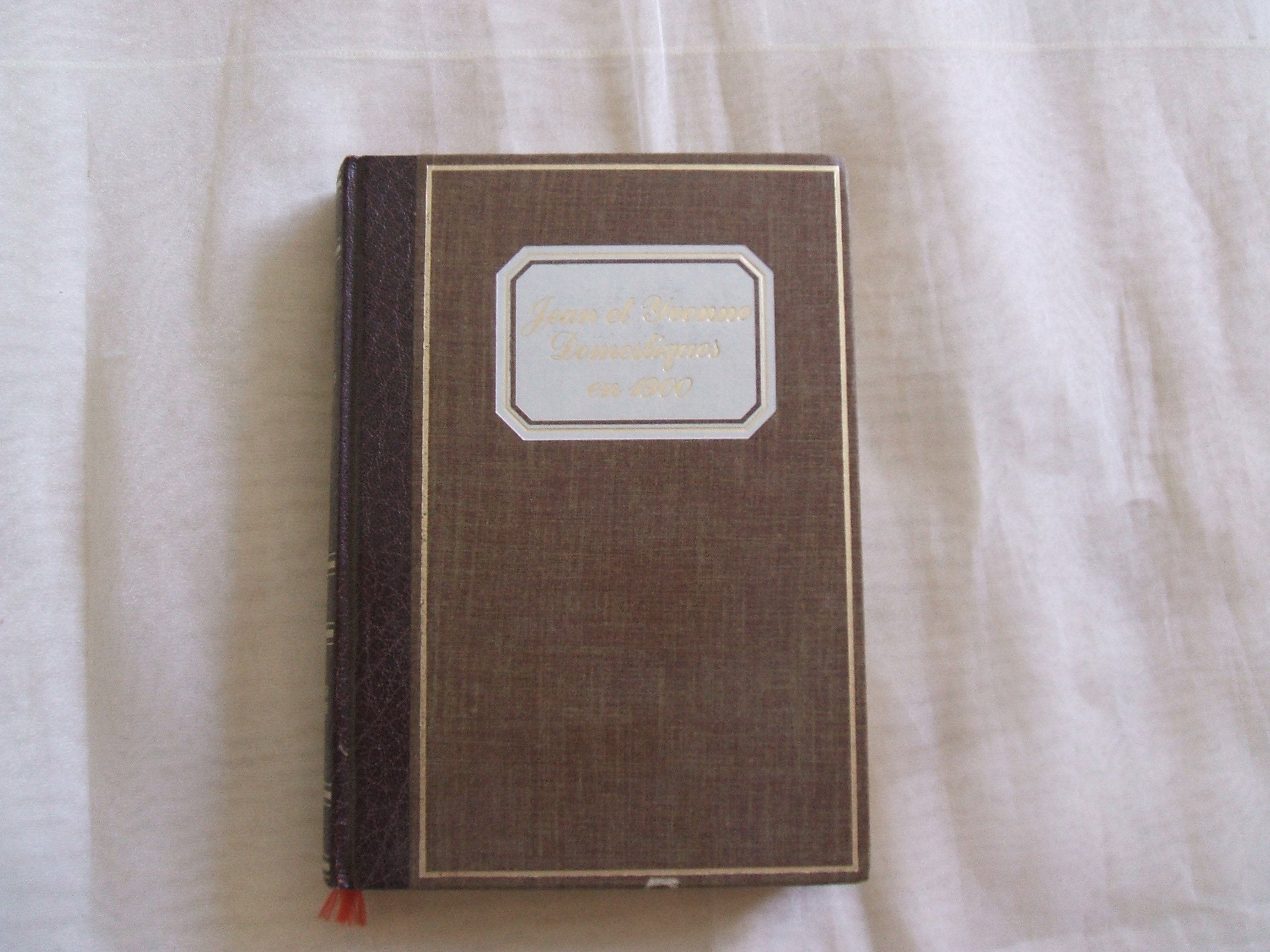 Jean et Yvonne, domestiques en 1900 +mille neuf cent (La France retrouvée) book