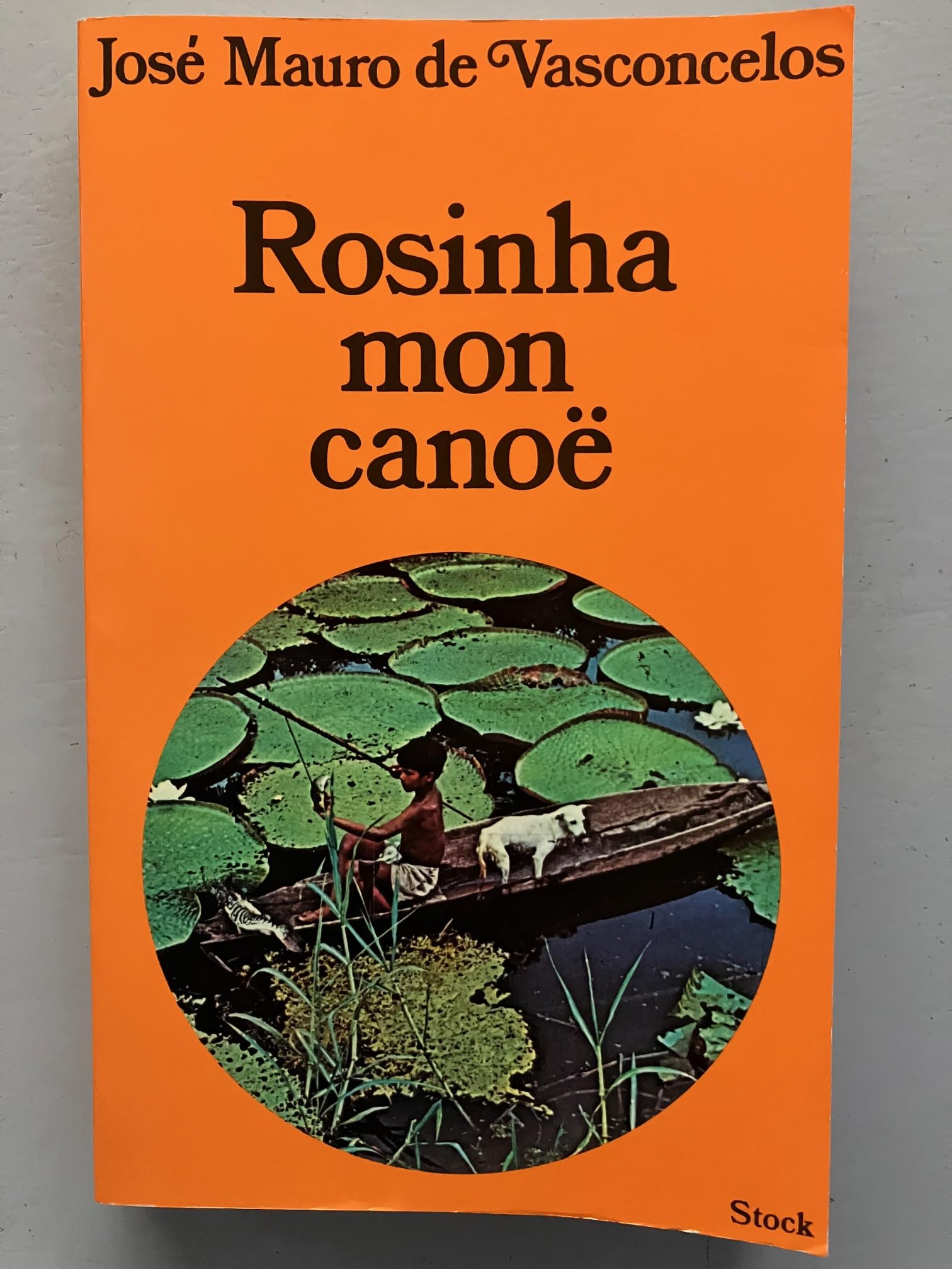 Rosinha, mon canoë : Roman au rythme des rames book