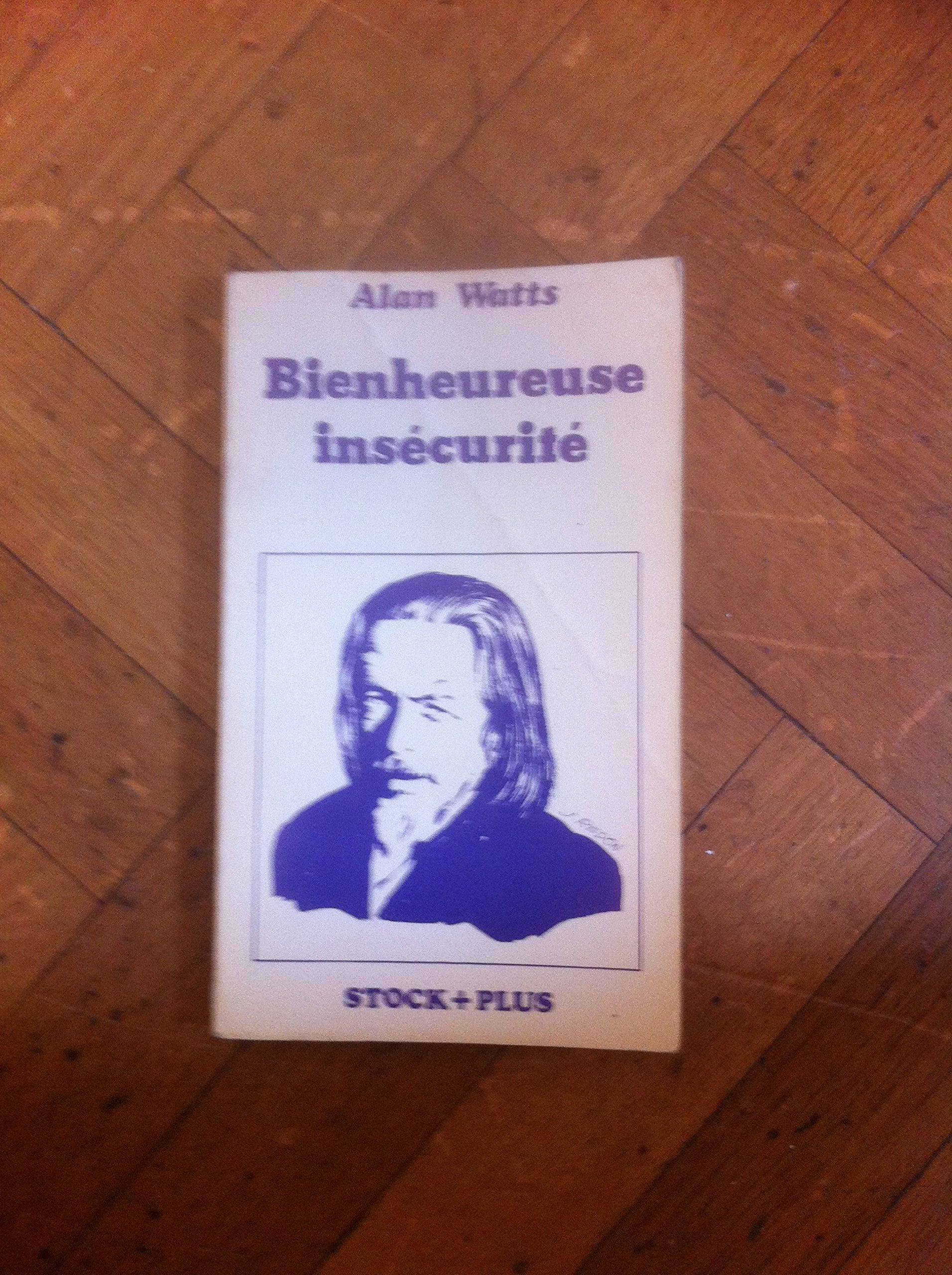 Bienheureuse insécurité. Une réponse à l'angoisse de notre temps book