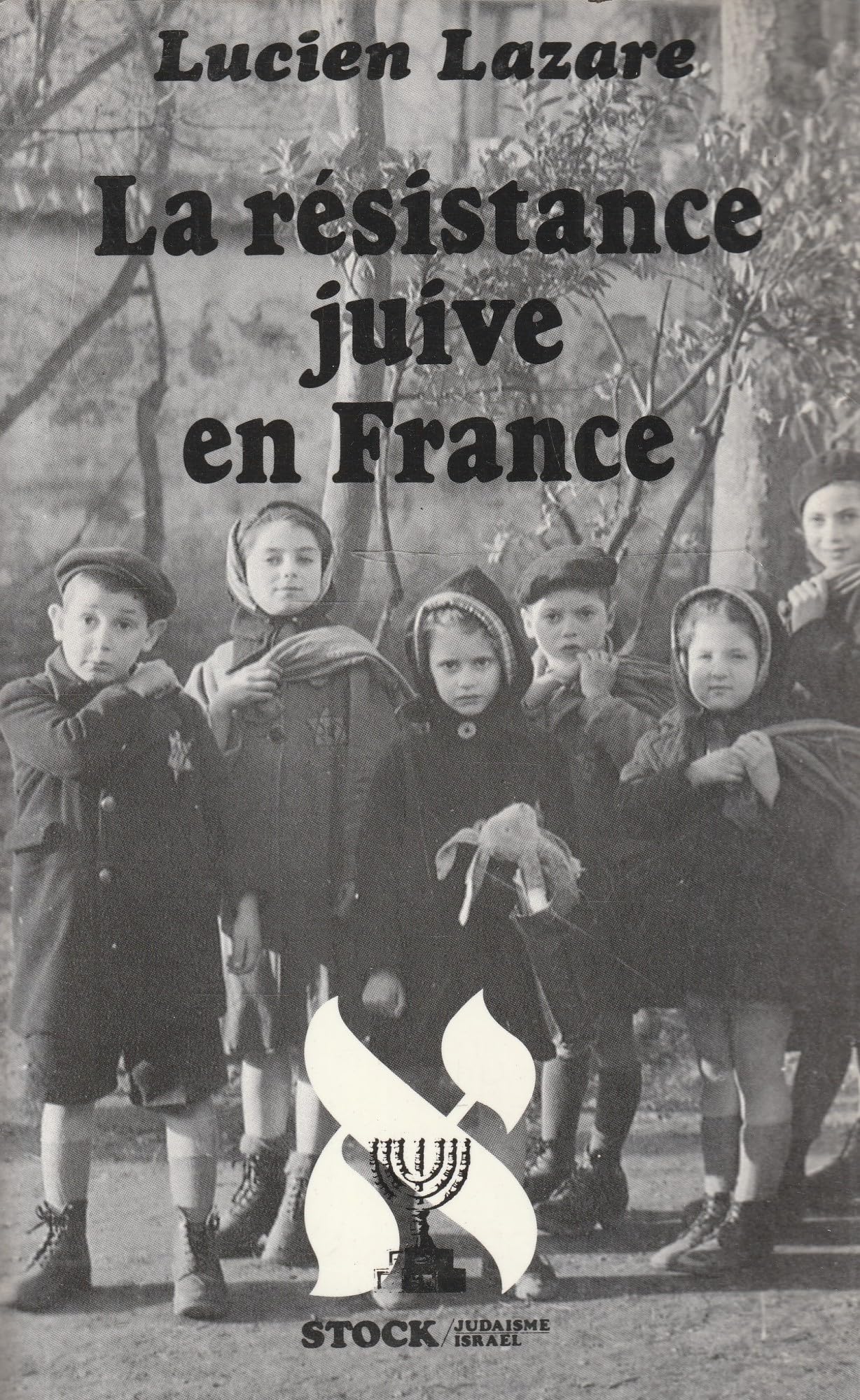 La Résistance juive en France book