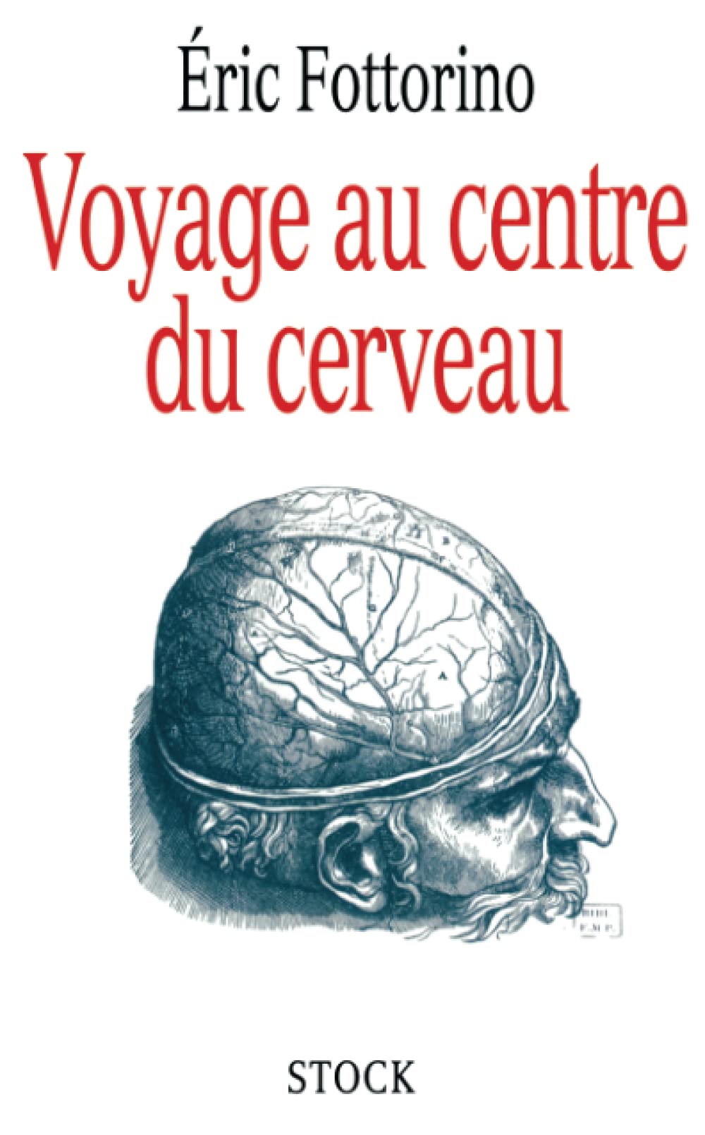 Voyage au centre du cerveau Medicine