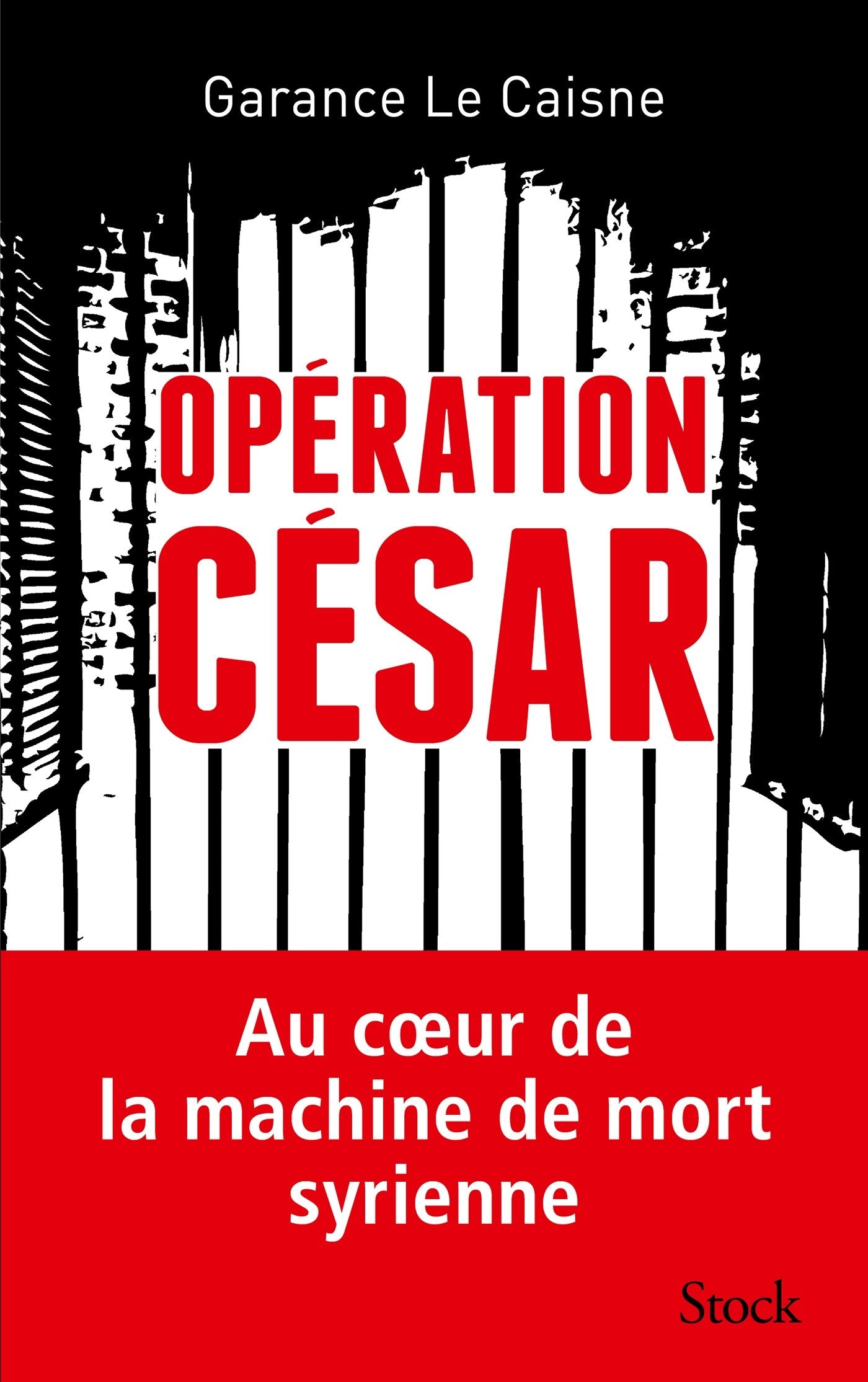 Opération César: Au coeur de la machine de mort syrienne (Essais - Documents) Social Sciences