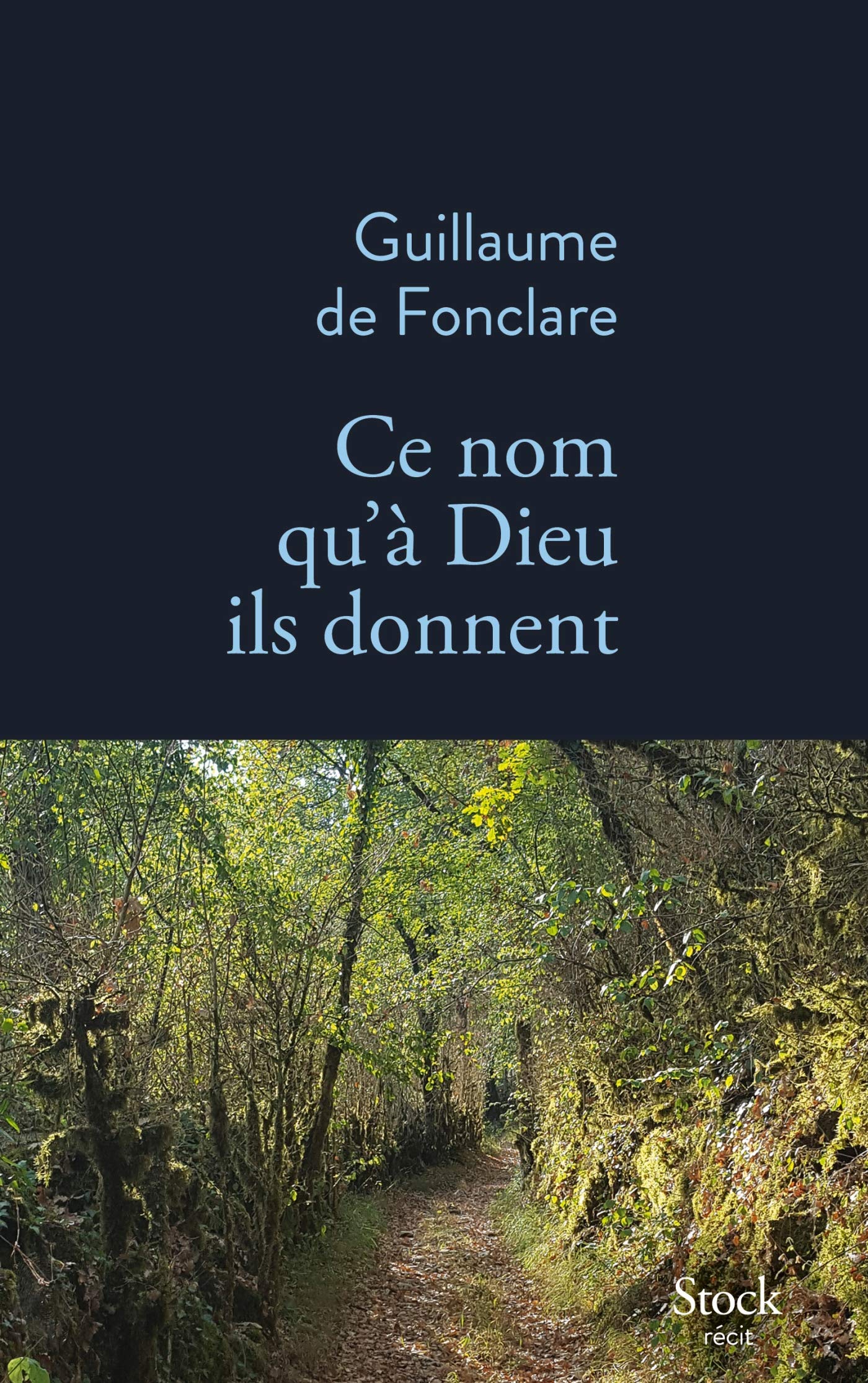 Ce nom qu'à Dieu ils donnent book