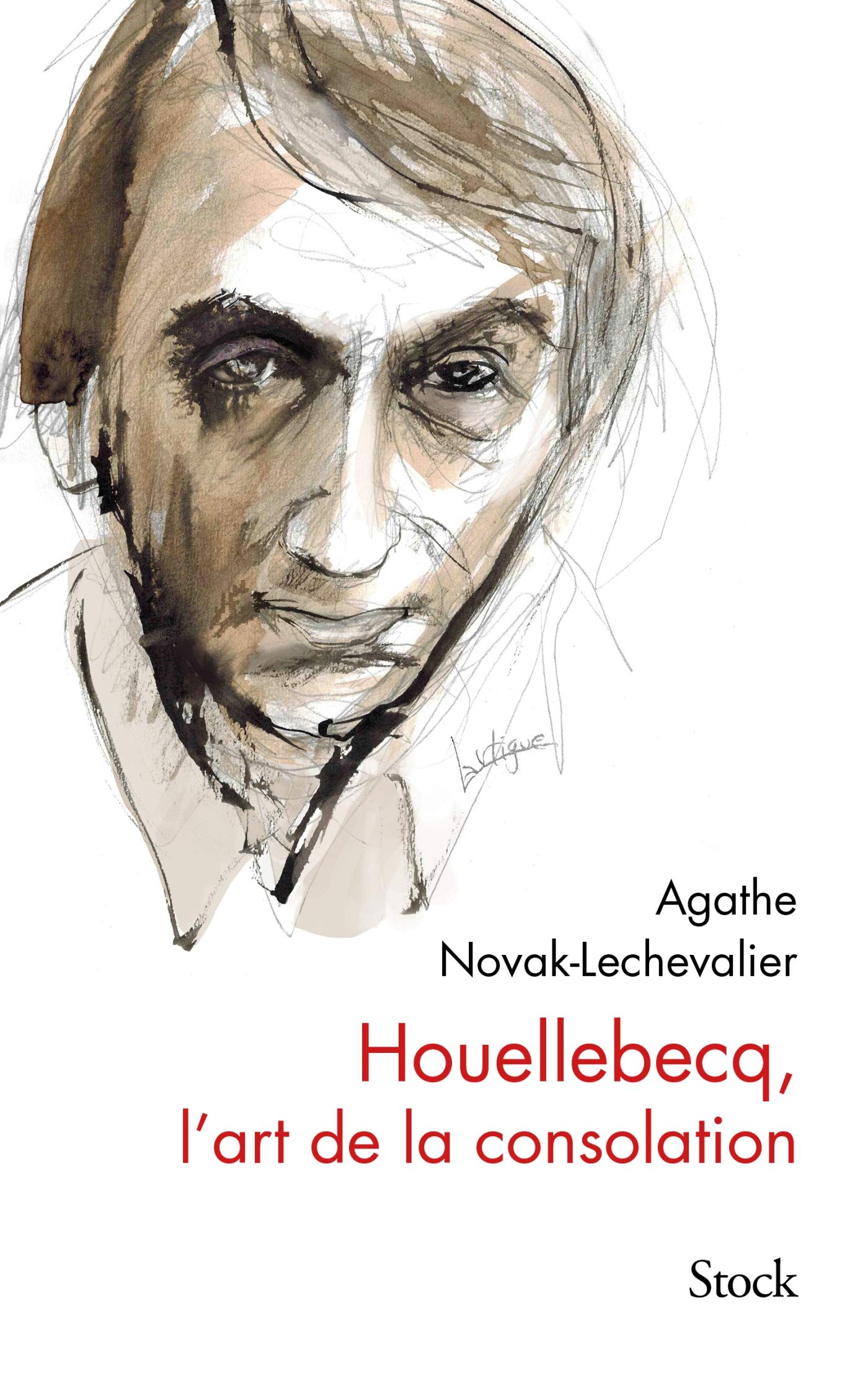 Houellebecq, l'art de la consolation book
