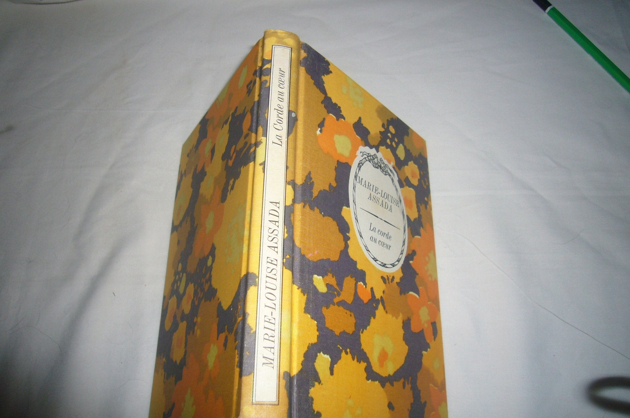 La Corde au coeur (Le Cercle romanesque) book
