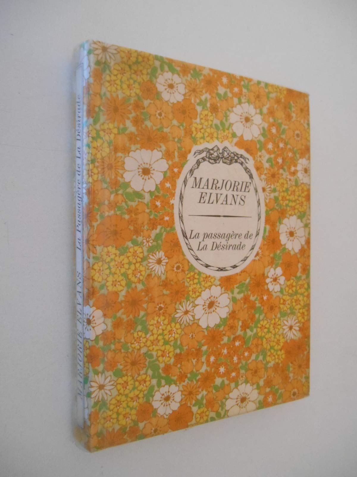 La Passagère de La Désirade (Arc-en-ciel) book