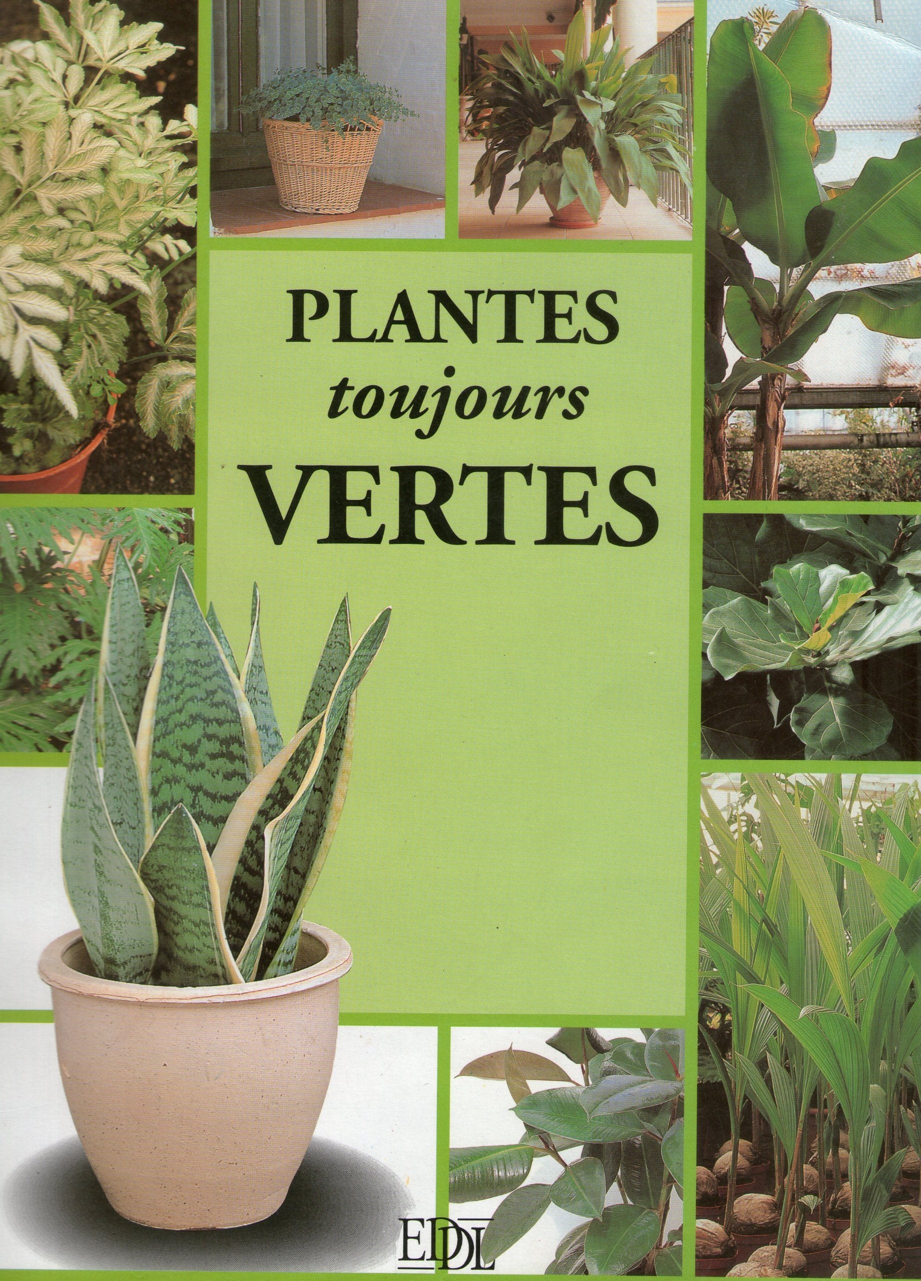 Plantes toujours vertes Books