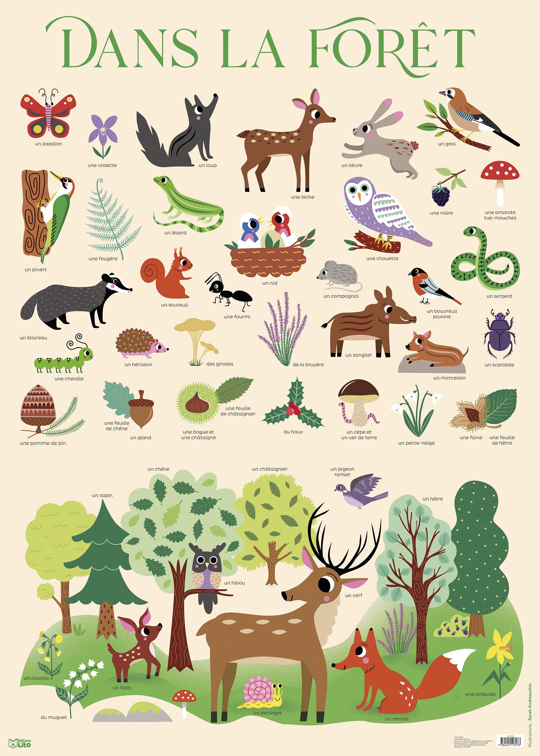 Mes Posters d'école - Dans la forêt - Dès 3 ans book
